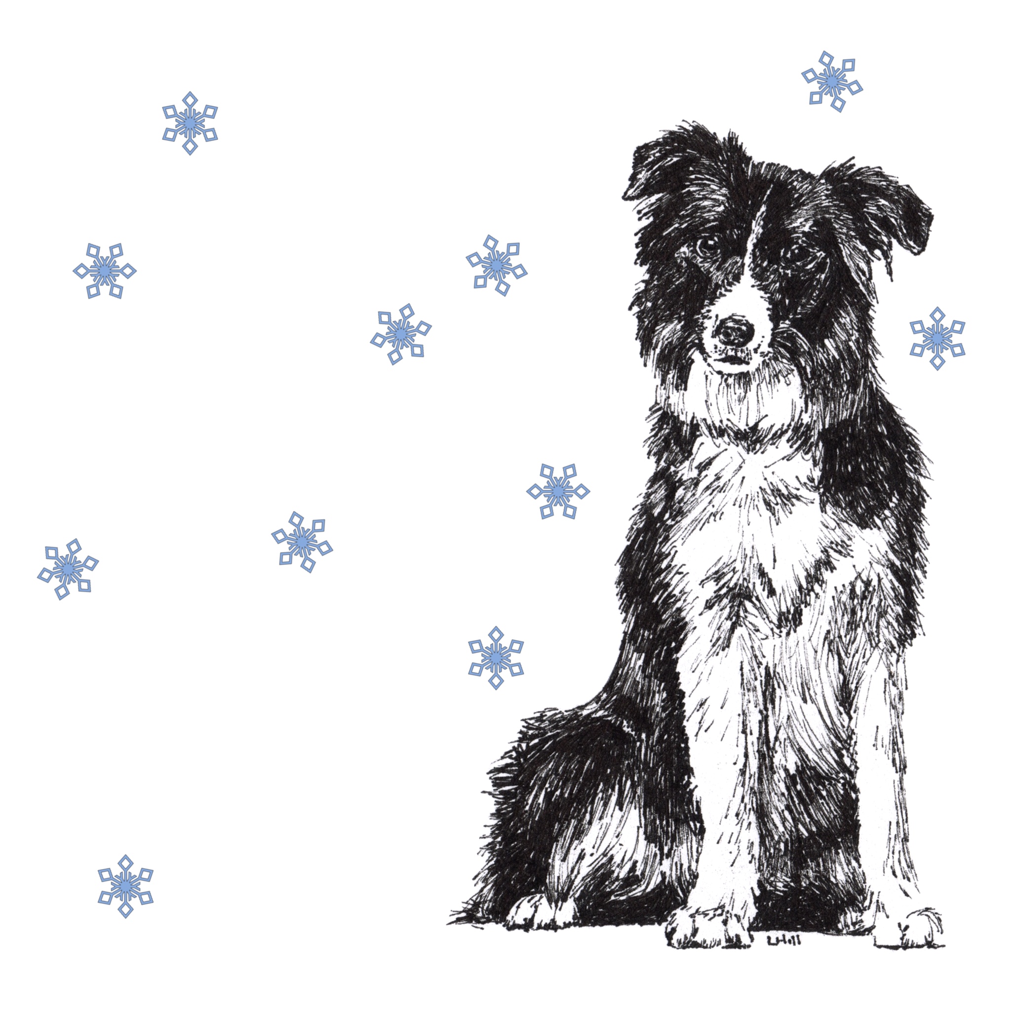 Border Collie with reindeer antlers and red nose Christmas card by Louisa Hill