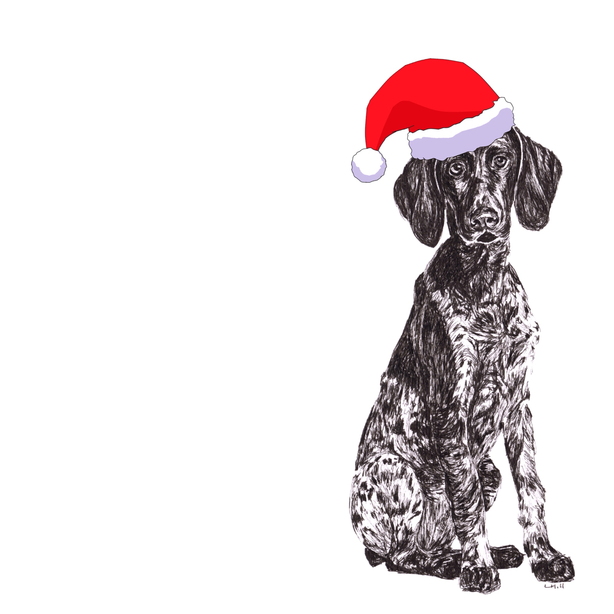 German Short Haired Pointer with reindeer antlers and red nose Christmas card by Louisa Hill