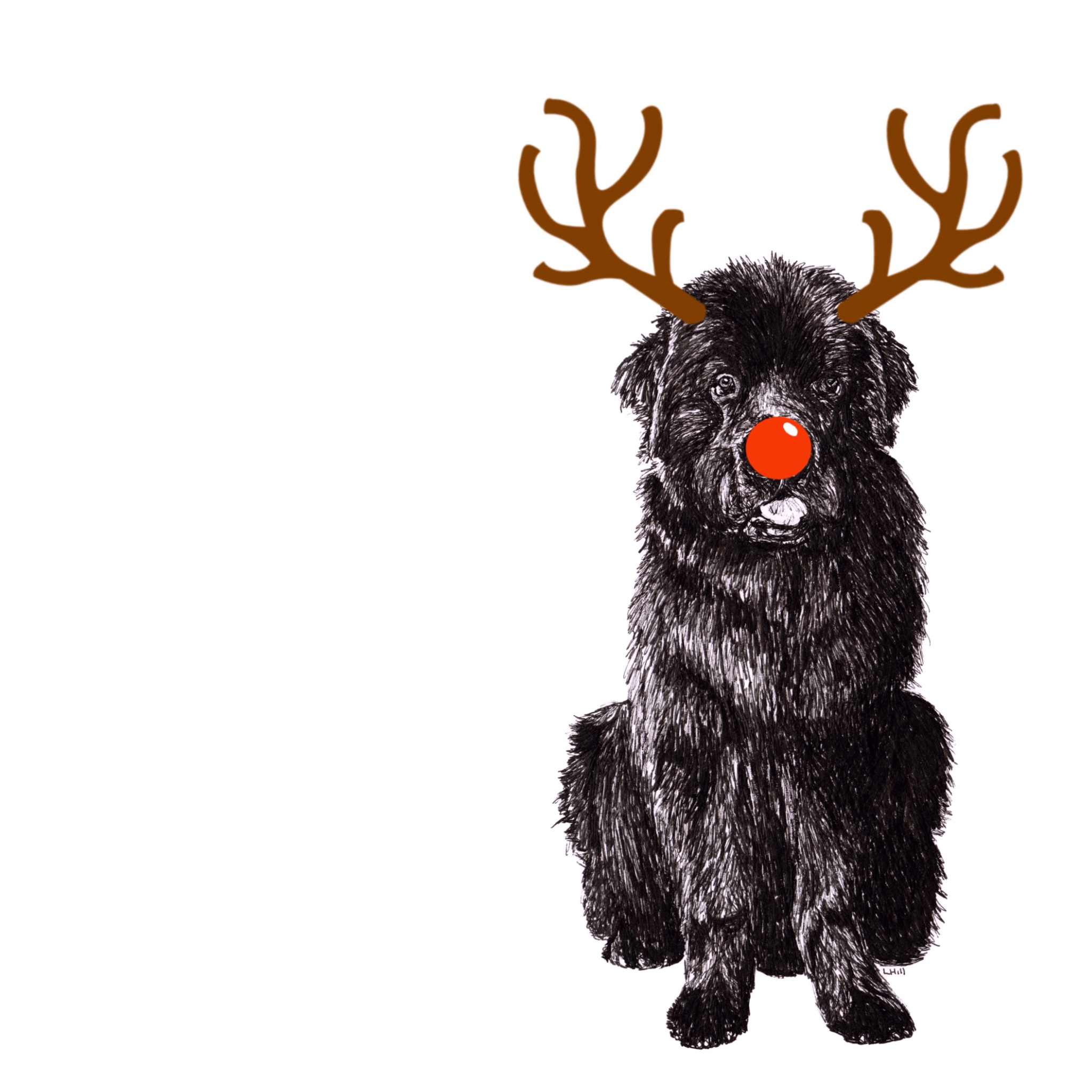 Newfoundland with reindeer antlers and red nose Christmas card by Louisa Hill