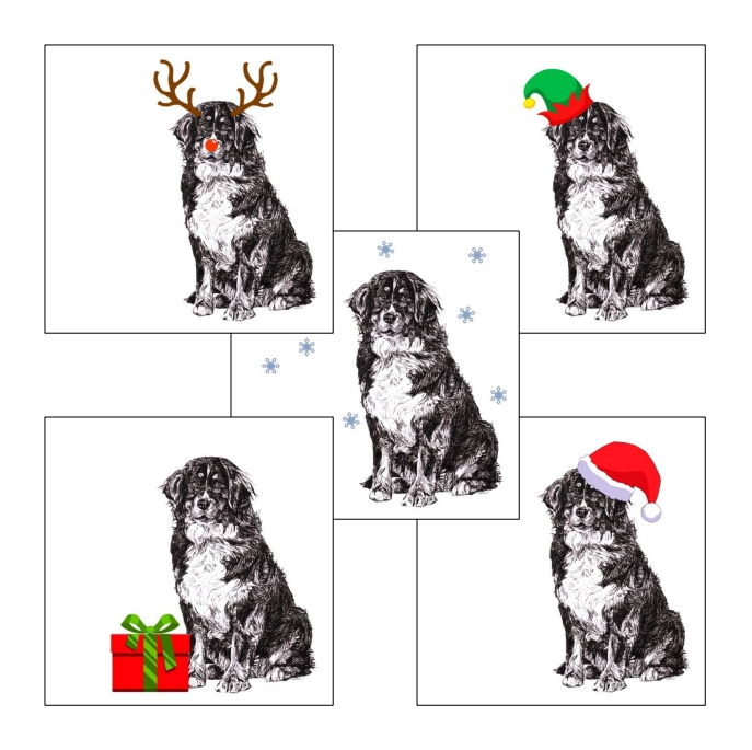 Bernese Mountain with reindeer antlers and red nose Christmas card by Louisa Hill