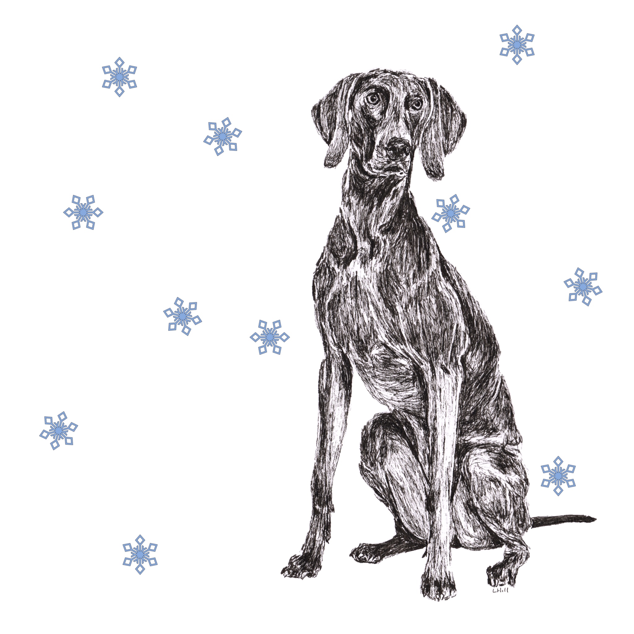 Weimaraner with reindeer antlers and red nose Christmas card by Louisa Hill