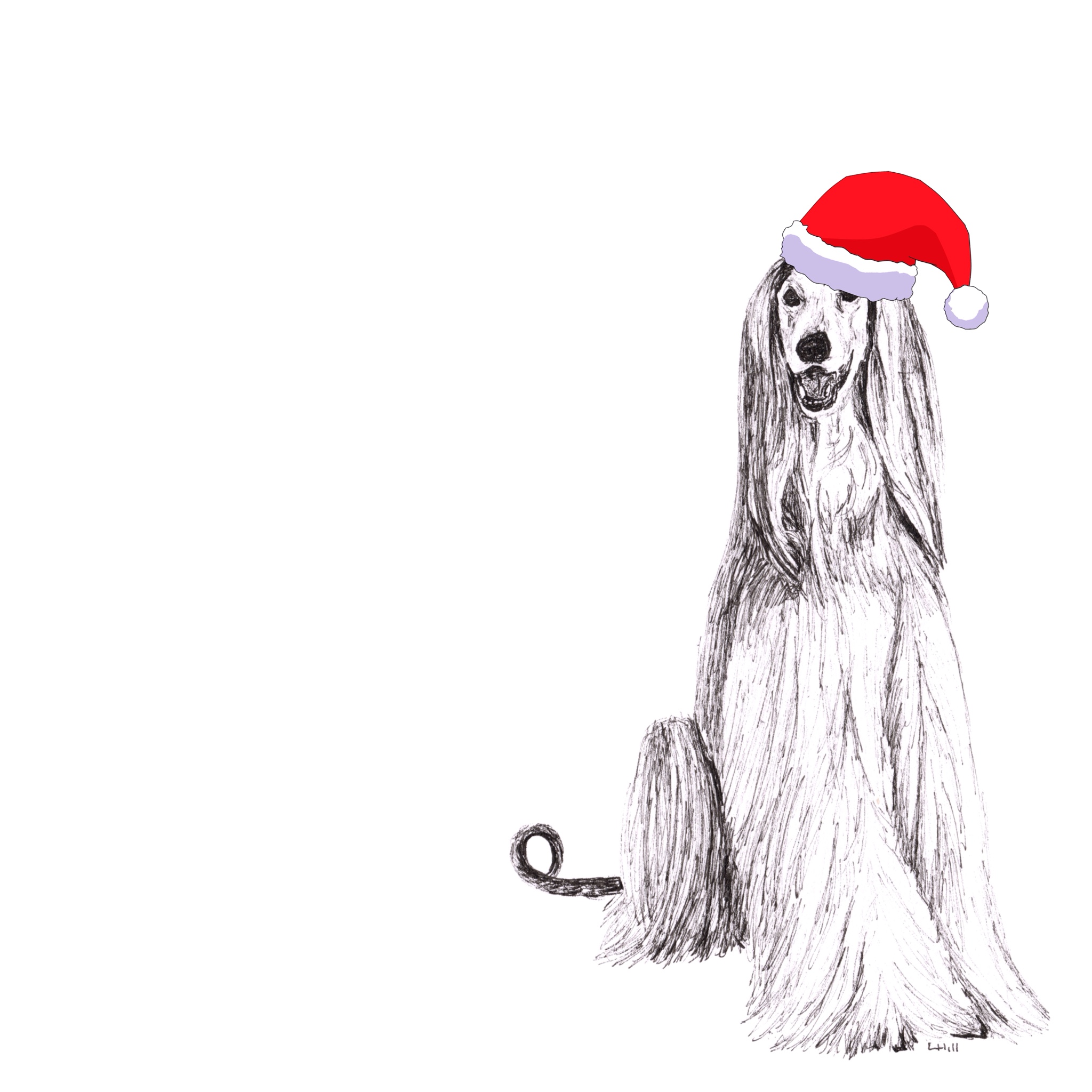 Afghan Hound with Santa hat Christmas card by Louisa Hill