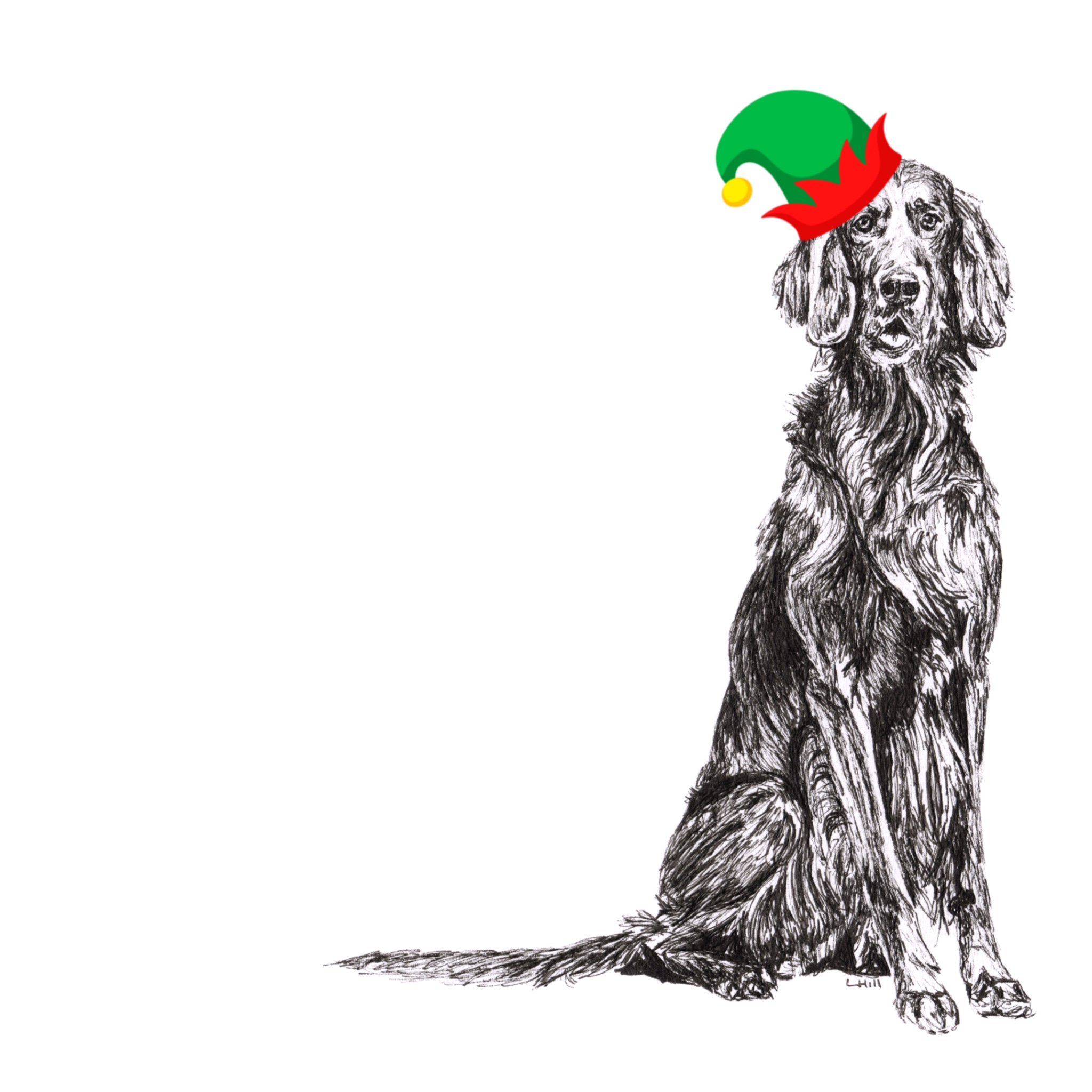 English Setter with reindeer antlers and red nose Christmas card by Louisa Hill