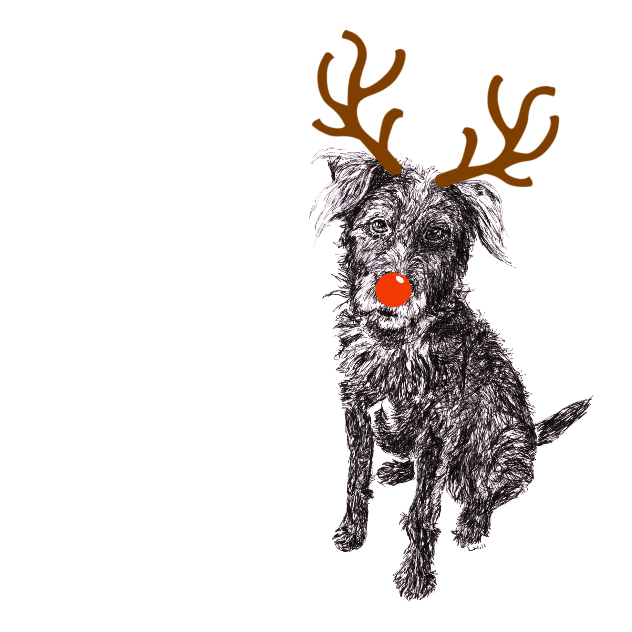 Patterdale Terrier with reindeer antlers and red nose Christmas card by Louisa Hill