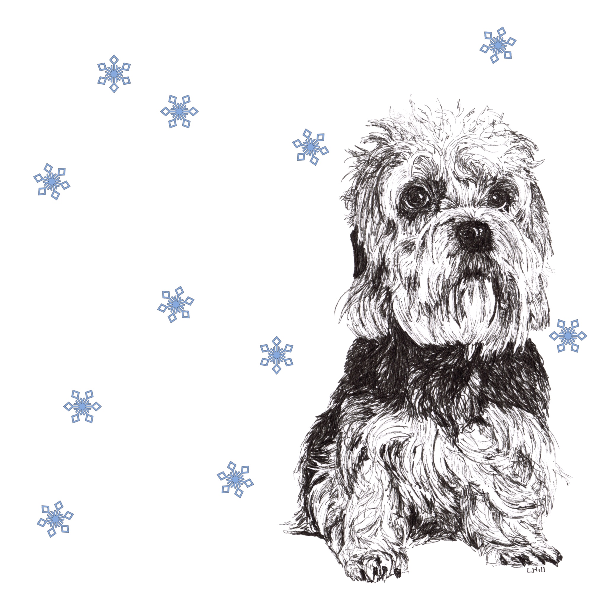 Dandie Dinmont Terrier with reindeer antlers and red nose Christmas card by Louisa Hill