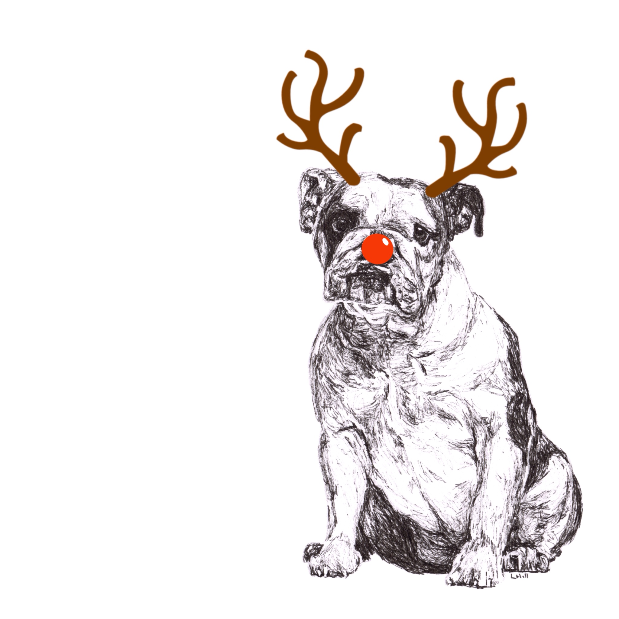 English Bulldog with reindeer antlers and red nose Christmas card by Louisa Hill