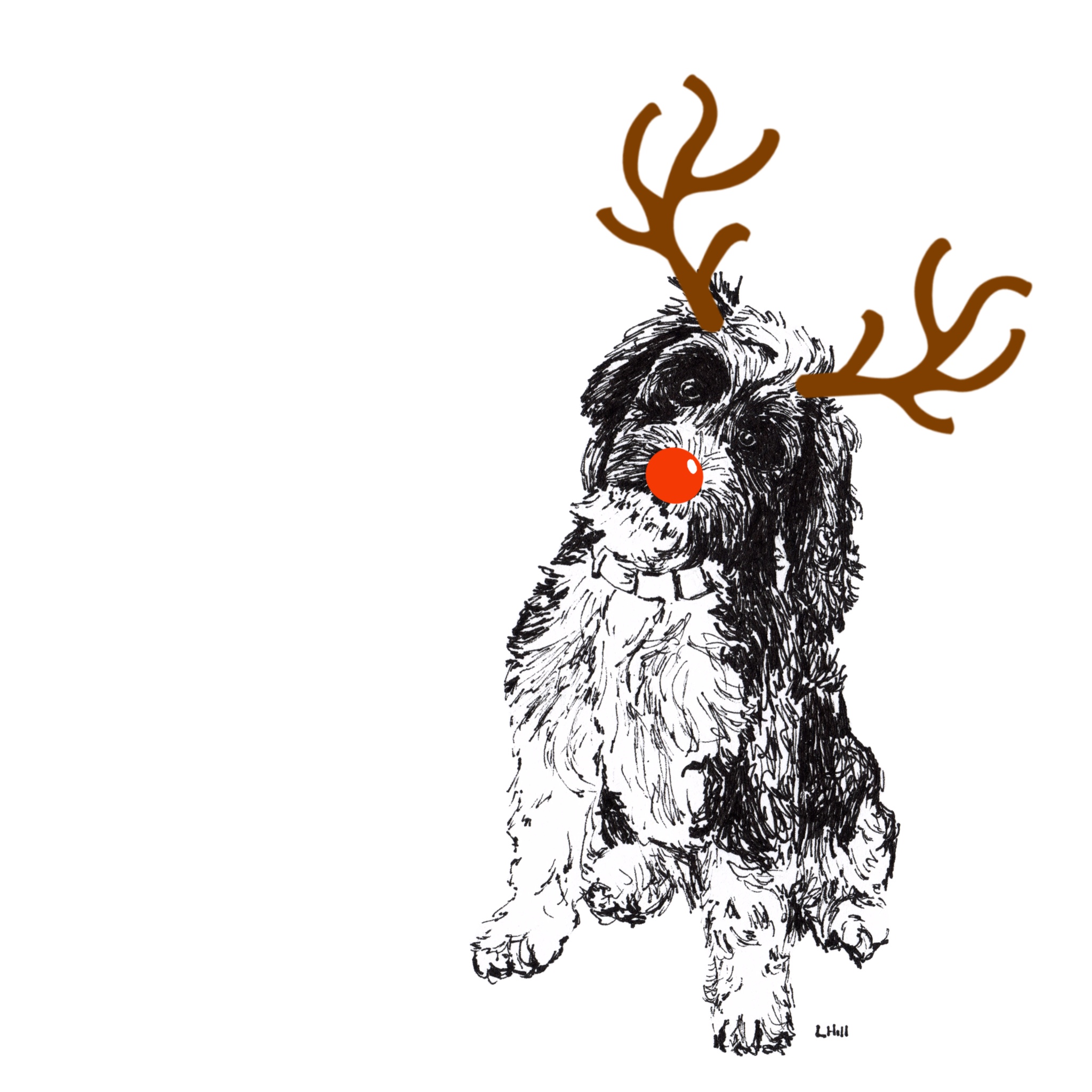 Cockapoo with reindeer antlers and red nose Christmas card by Louisa Hill