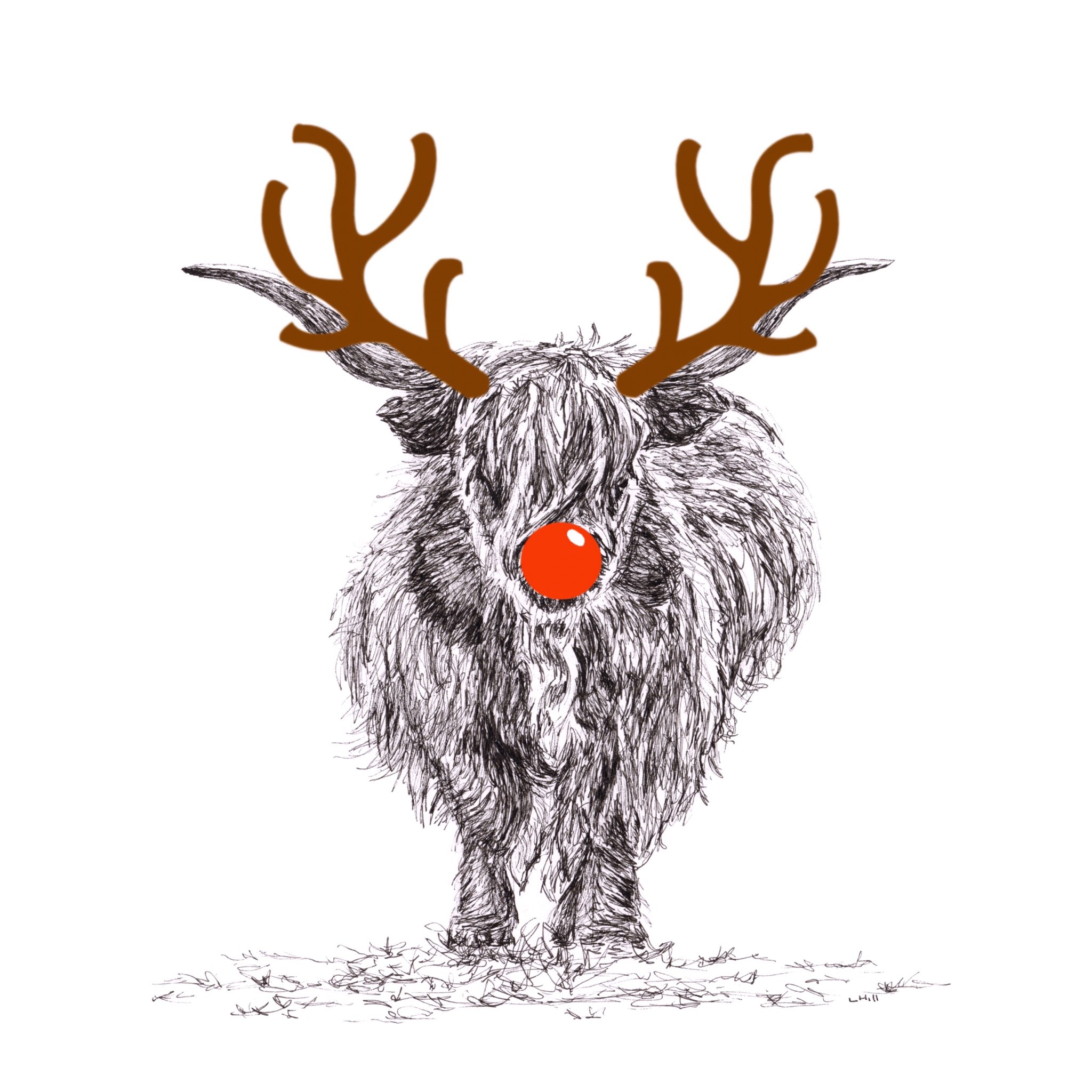 Highland Cattle with reindeer antlers and red nose Christmas card by Louisa Hill