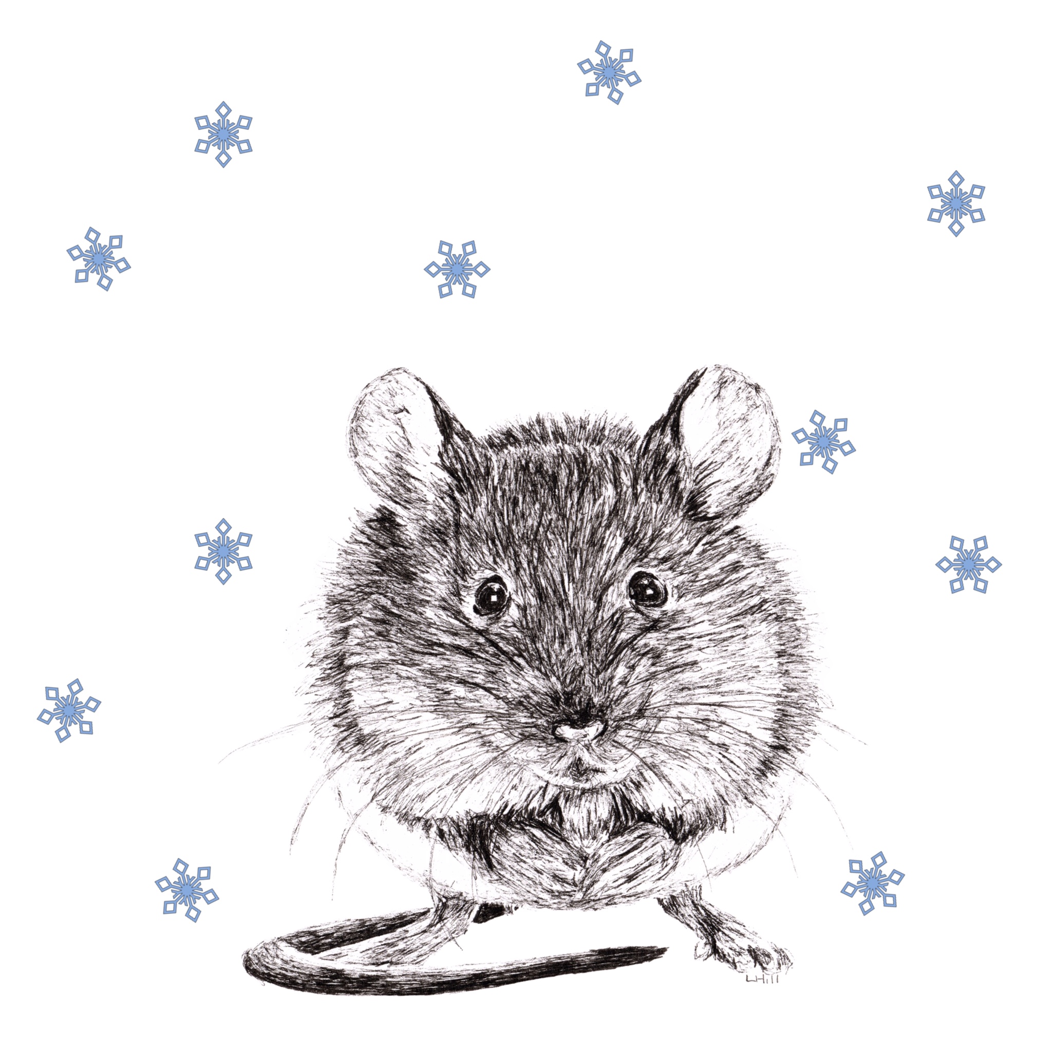 Mouse with reindeer antlers and red nose Christmas cards by Louisa Hill