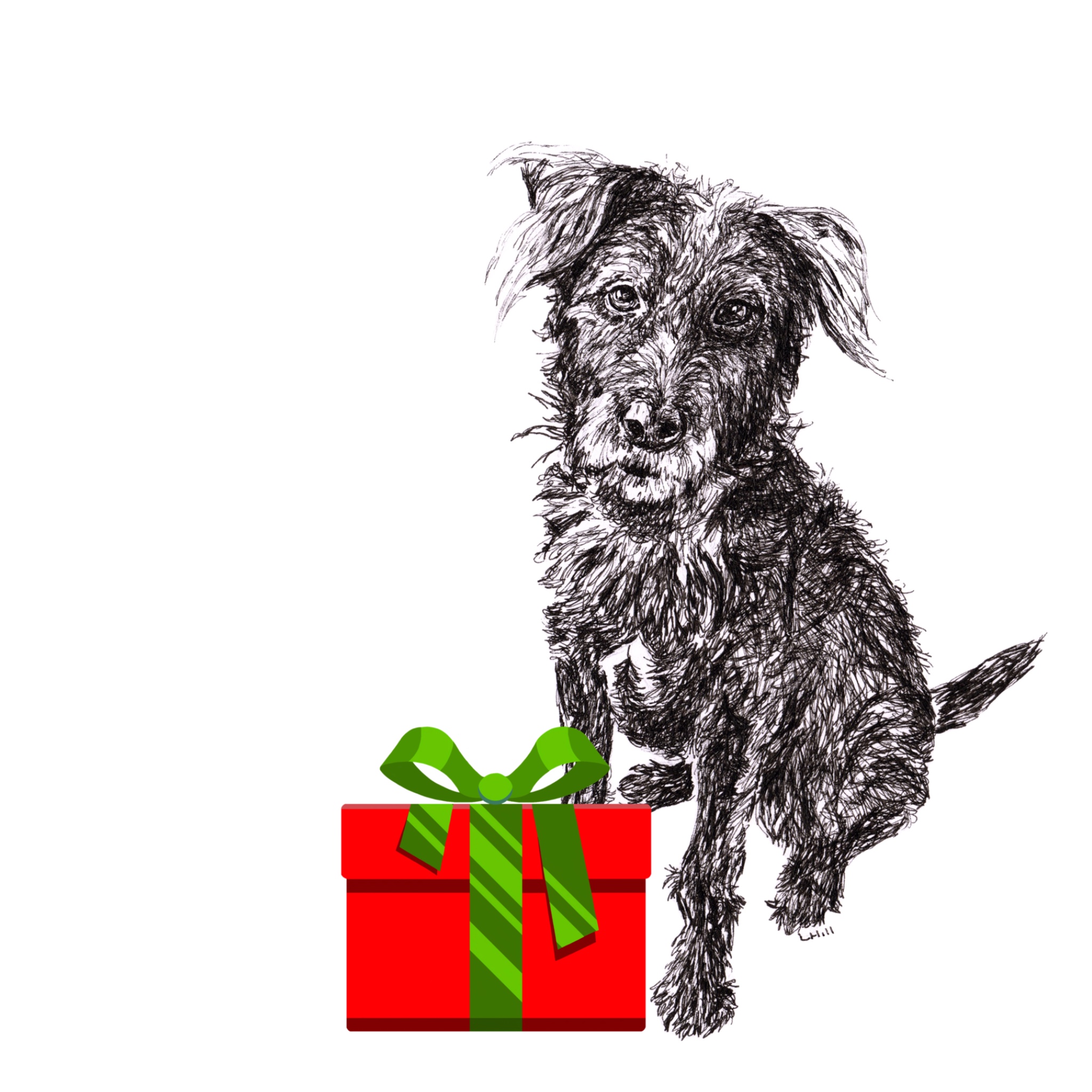 Patterdale Terrier with Santa hat Christmas card by Louisa Hill