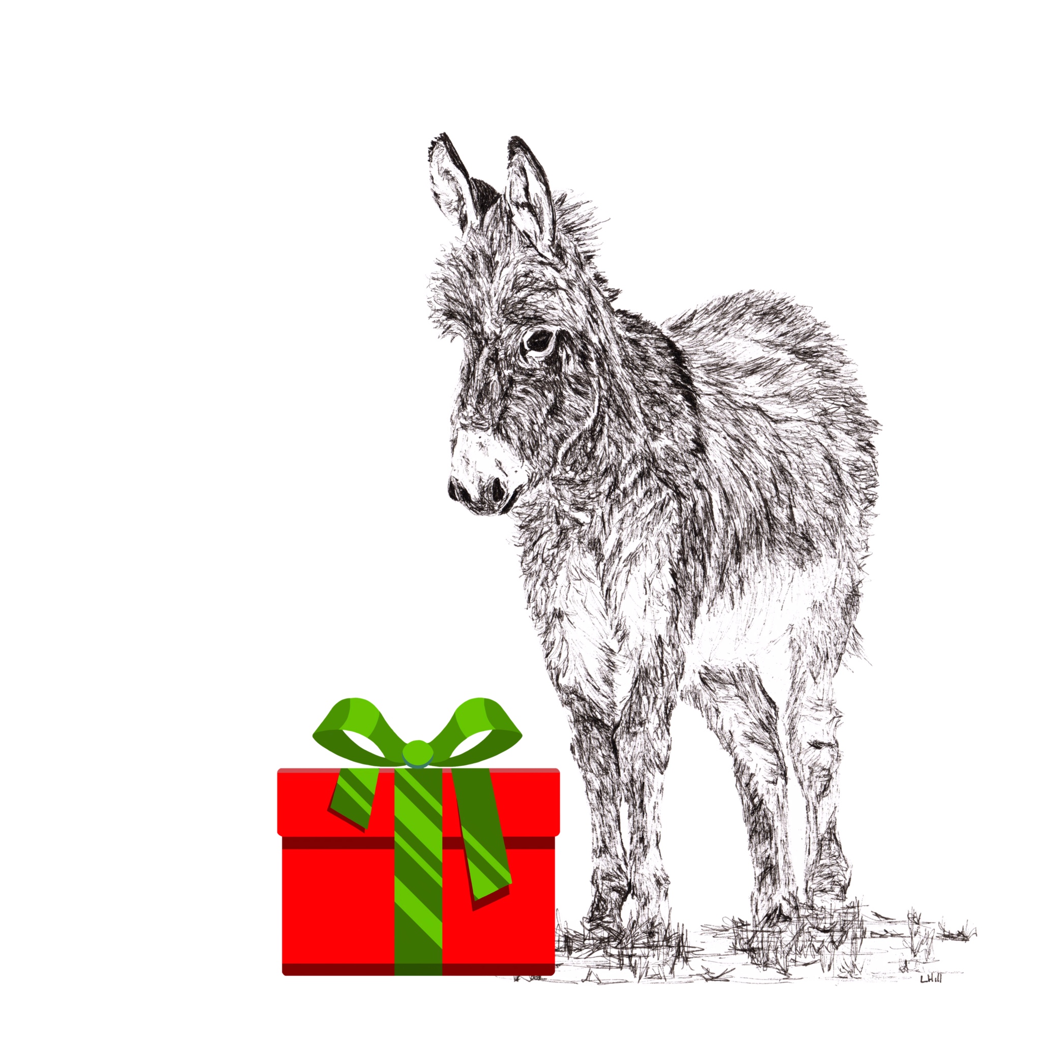 Donkey with santa hat Christmas card by Louisa Hill