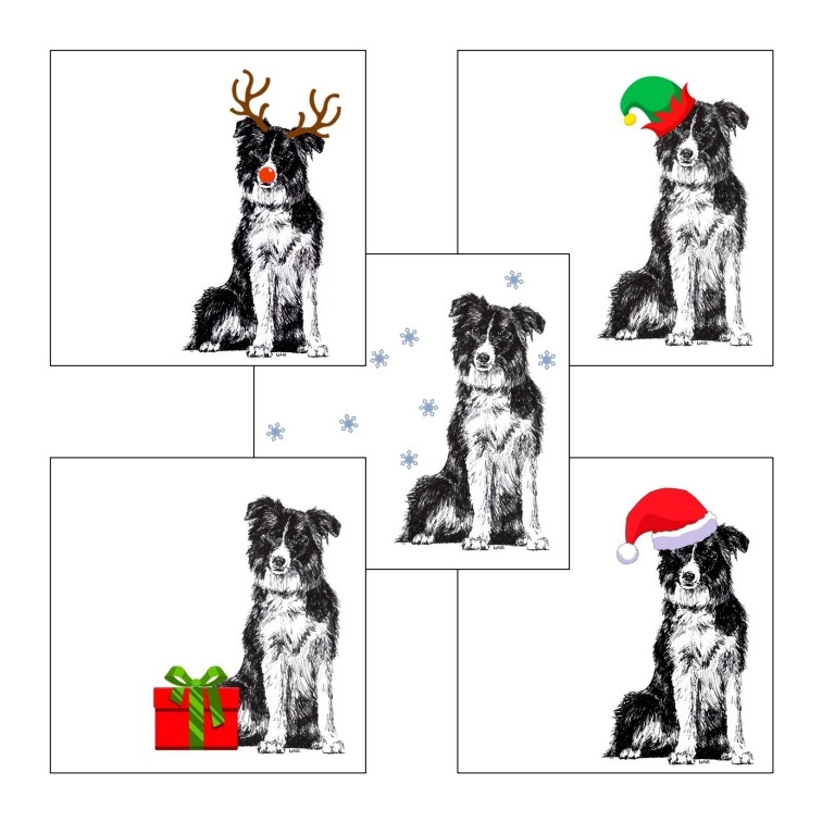 Border Collie with reindeer antlers and red nose Christmas card by Louisa Hill