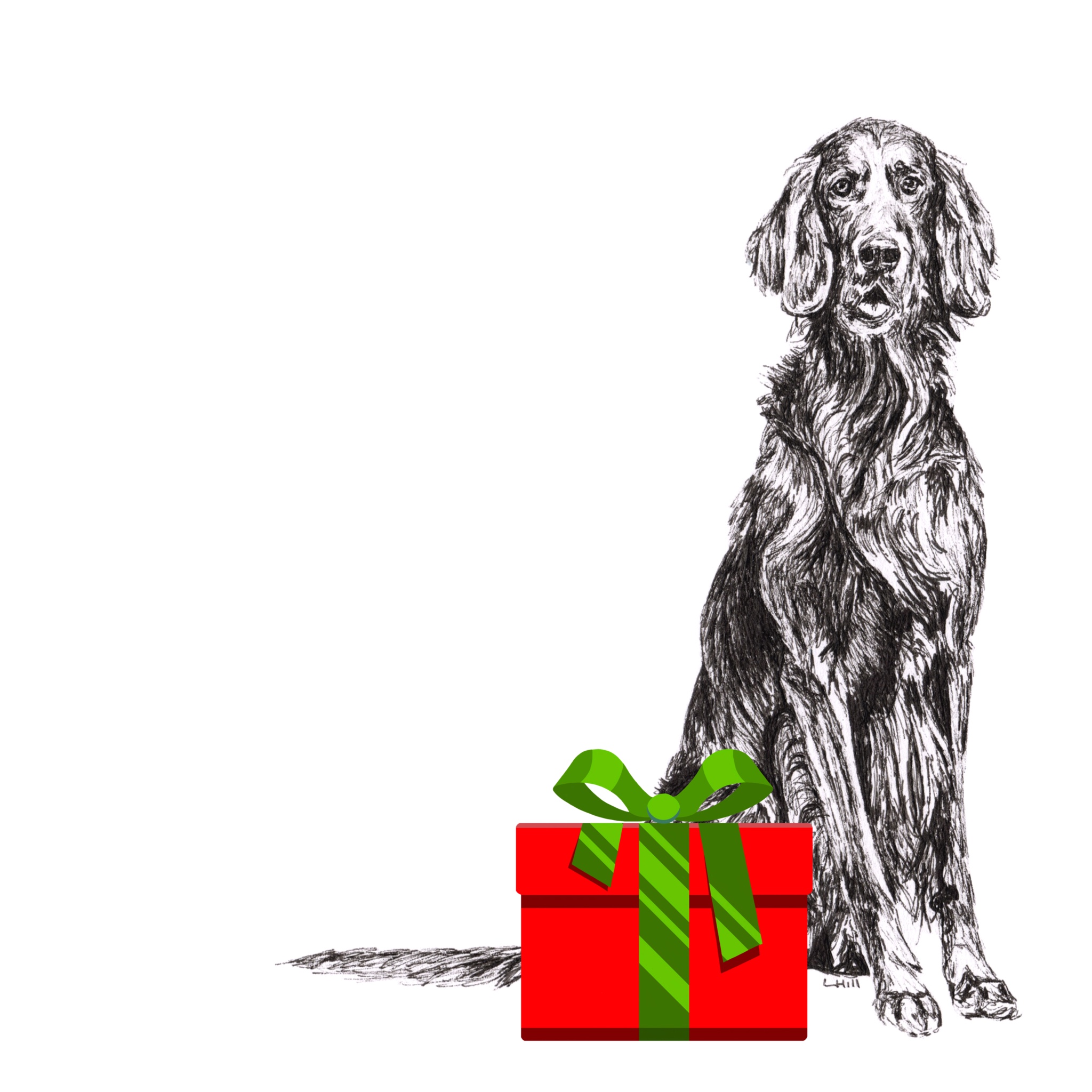 English Setter with reindeer antlers and red nose Christmas card by Louisa Hill