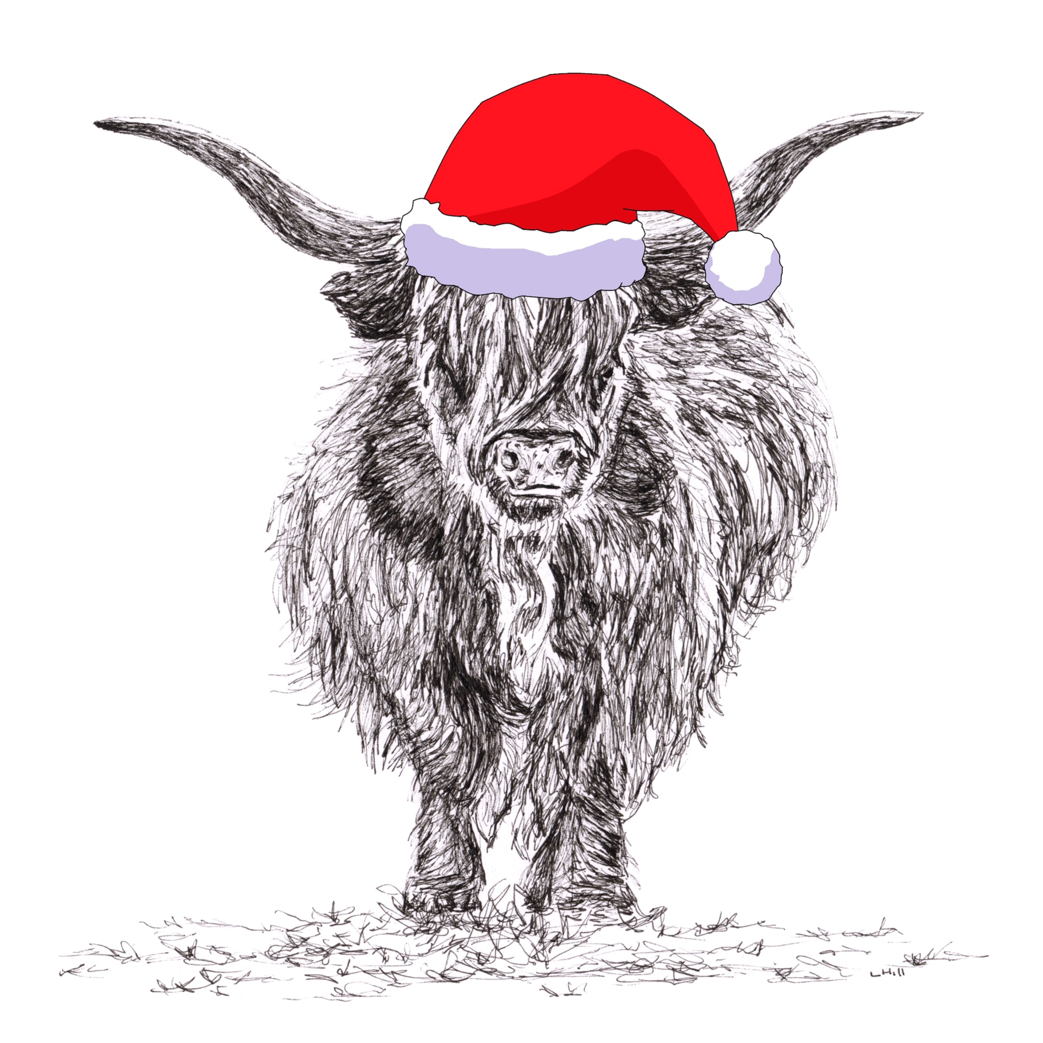 Highland Cattle with santa hat Christmas card by Louisa Hill