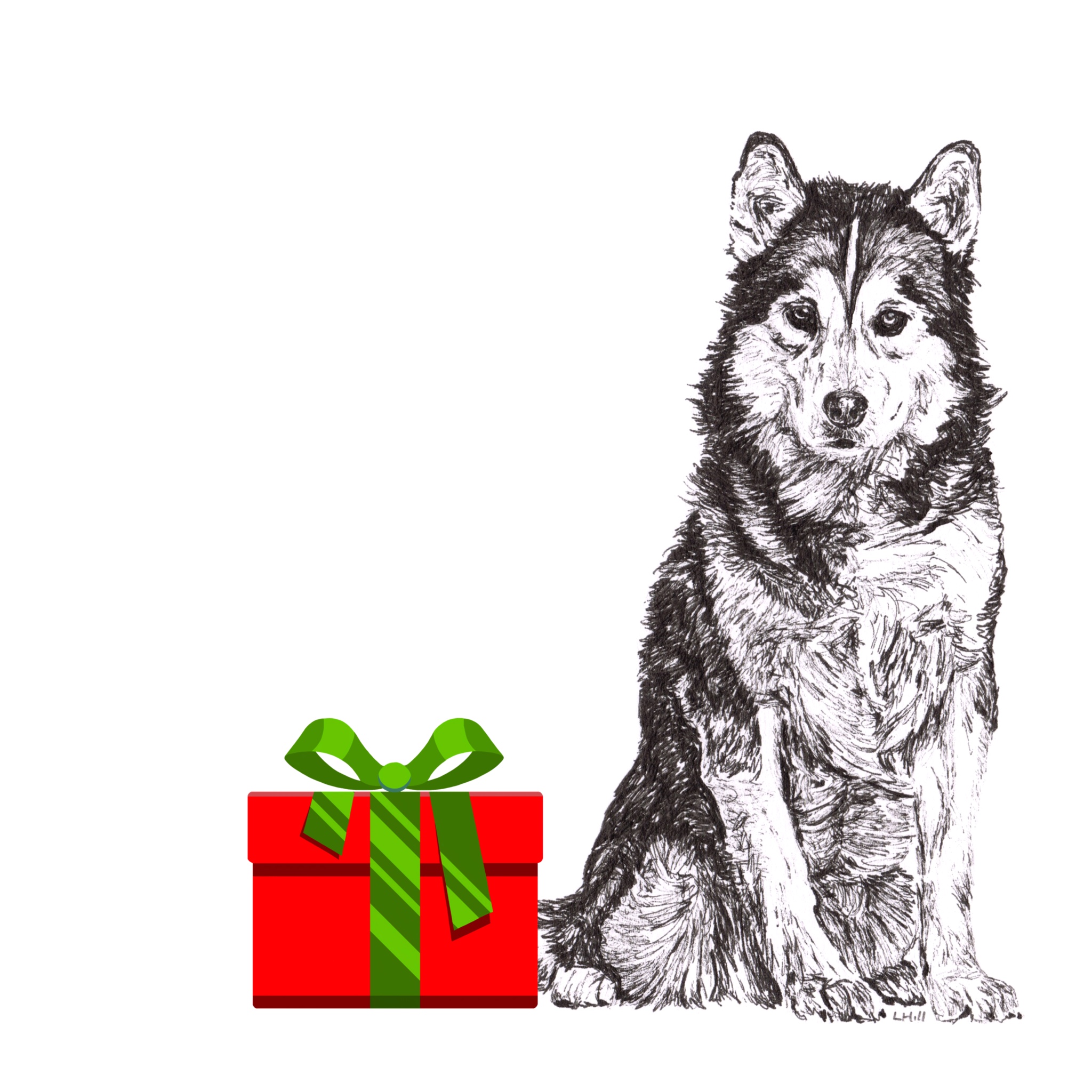 Siberian Husky with Santa hat Christmas card by Louisa Hill