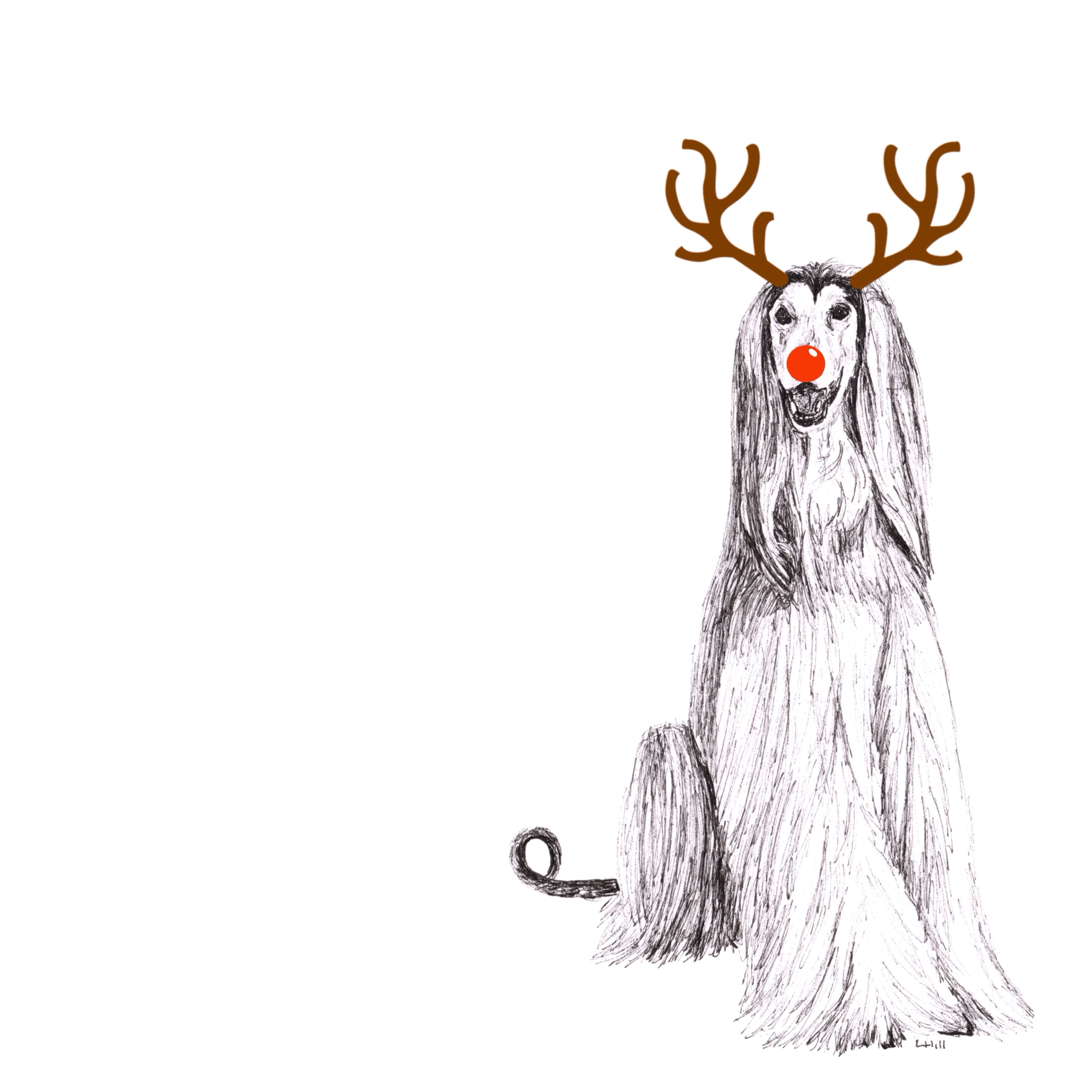 Afghan Hound with reindeer antlers and red nose Christmas card by Louisa Hill