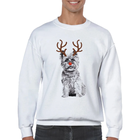 Cairn Terrier with reindeer antlers and red nose Christmas jumper by Louisa Hill