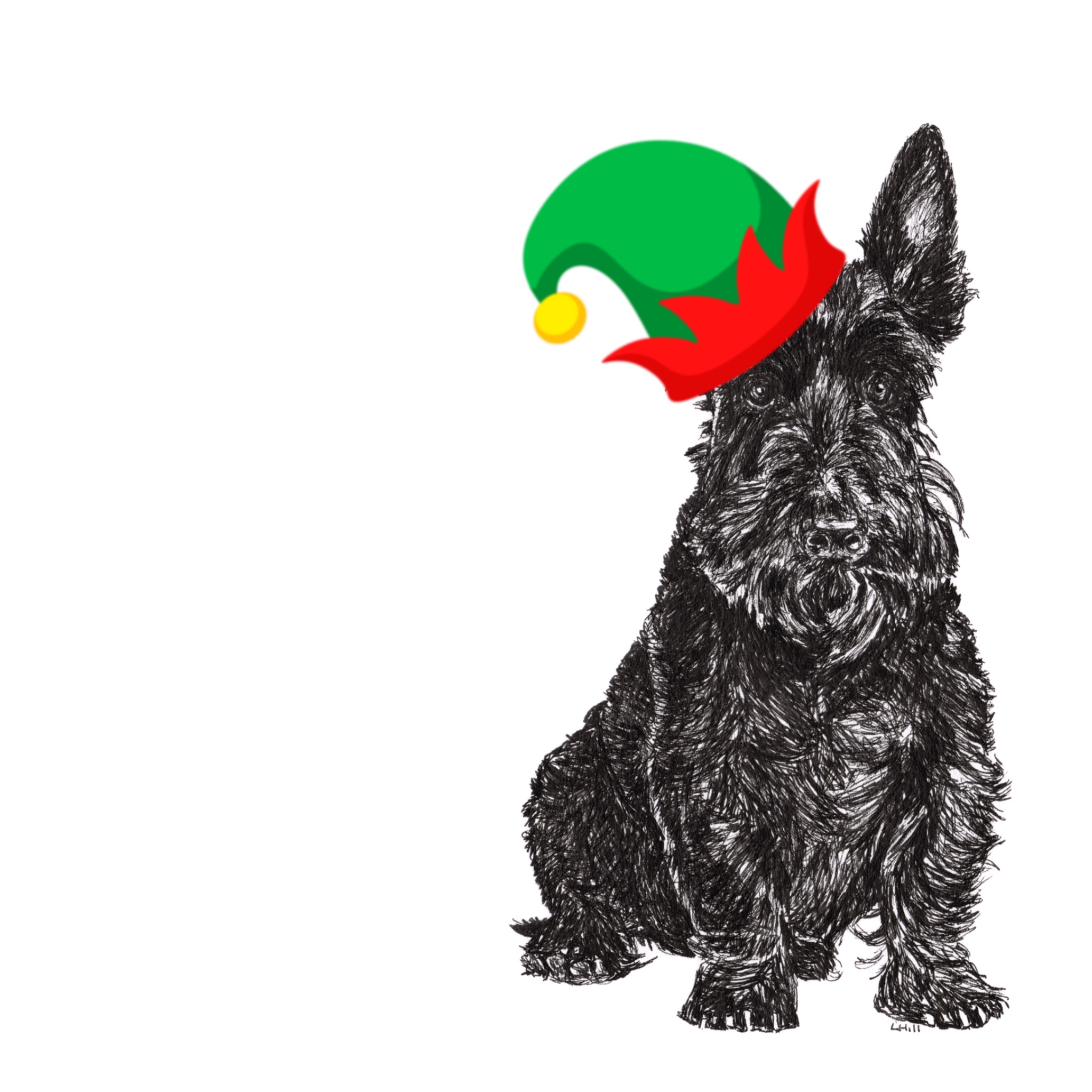 Scottish Terrier with Santa hat Christmas card by Louisa Hill