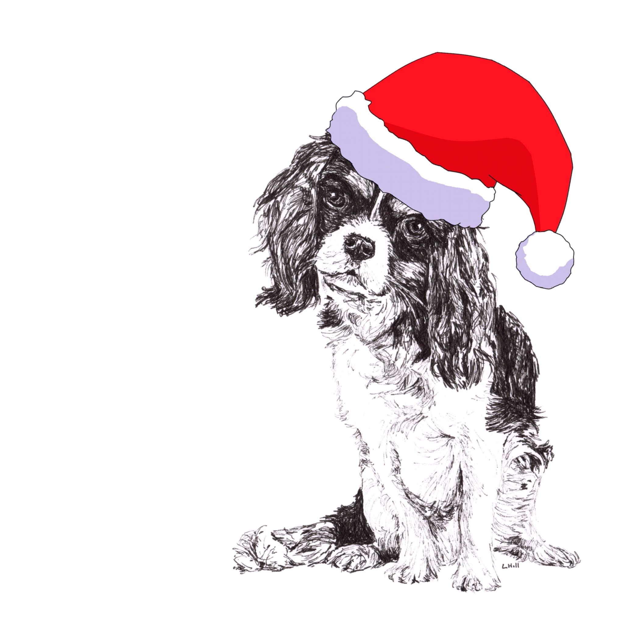 Cavalier King Charles Spaniel with Santa hat Christmas card by Louisa Hill