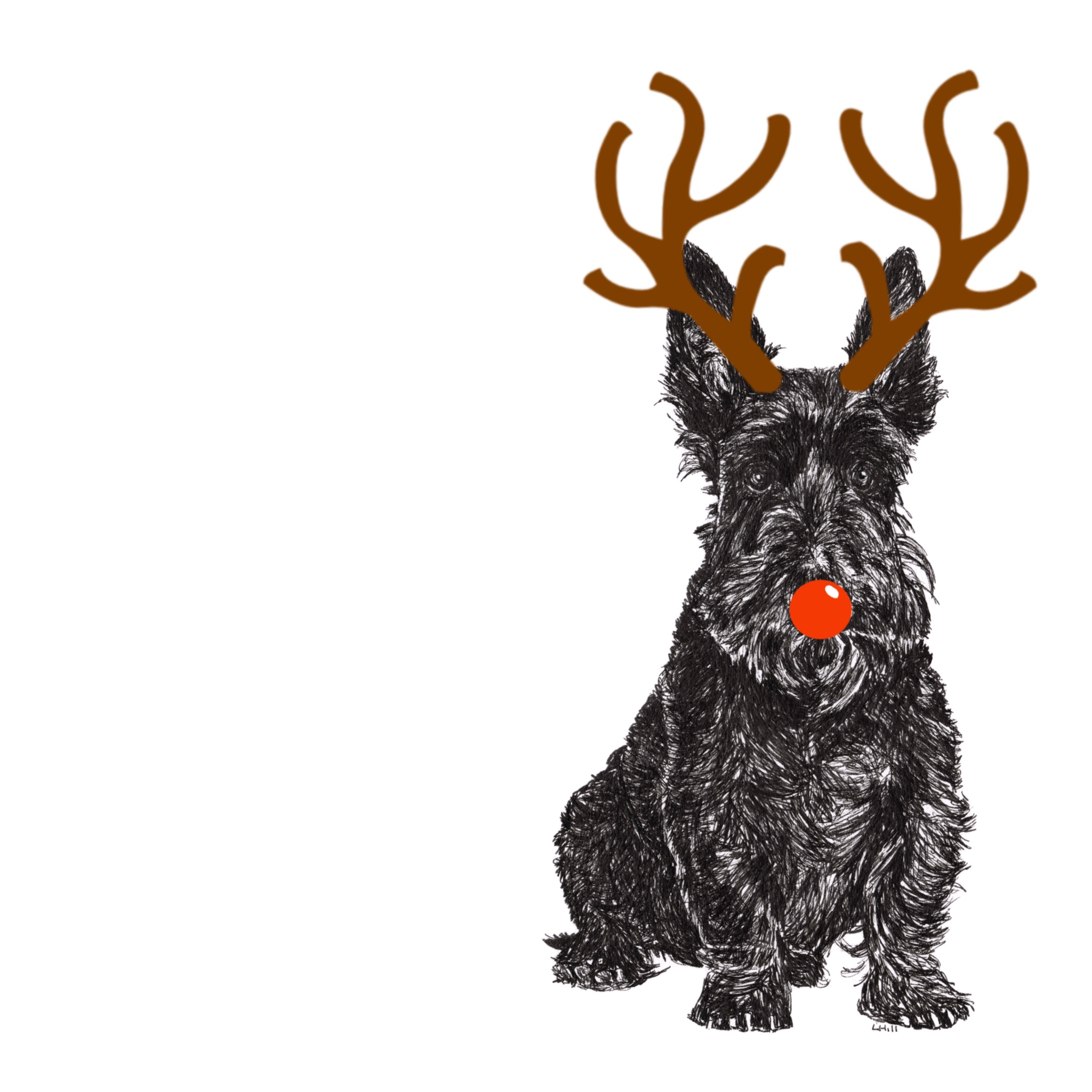 Scottish Terrier with reindeer antlers and red noseChristmas card by Louisa Hill