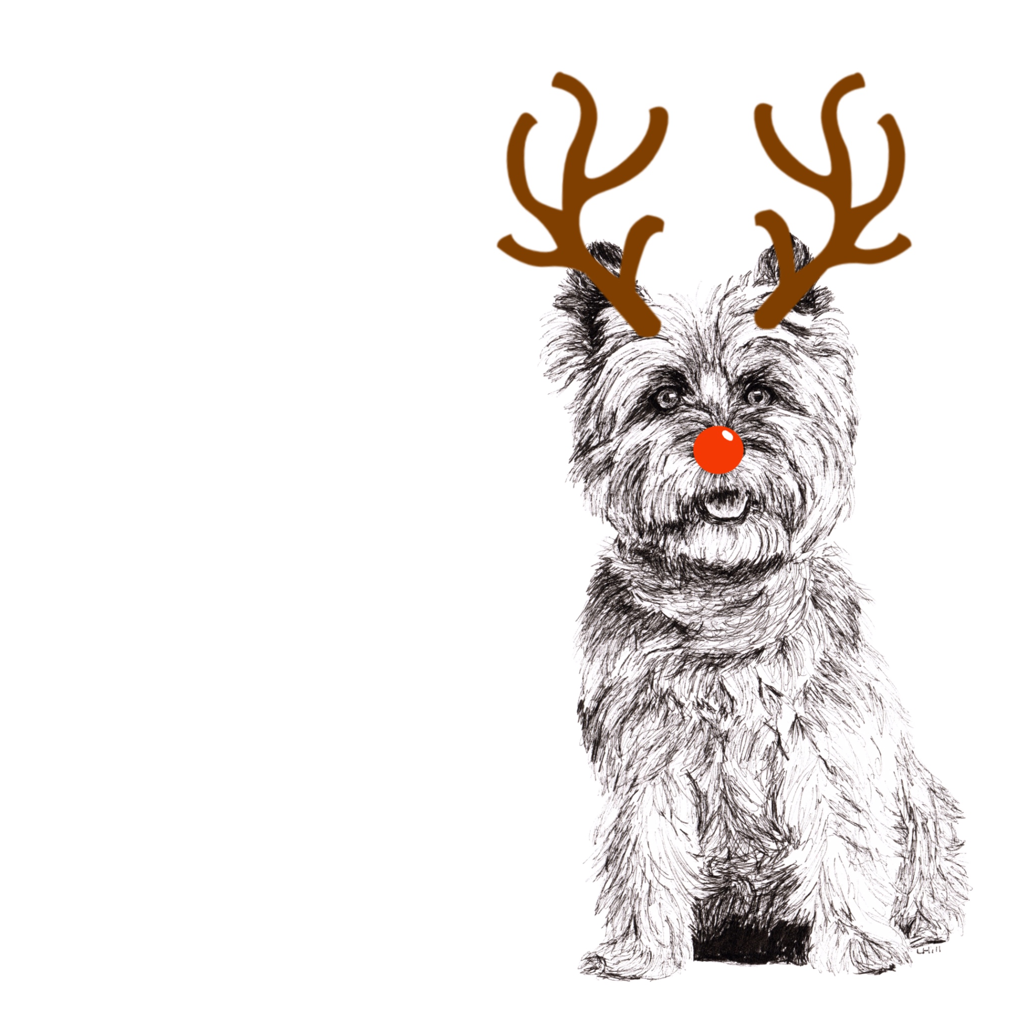 Cairn Terrier with reindeer antlers and red nose Christmas card by Louisa Hill