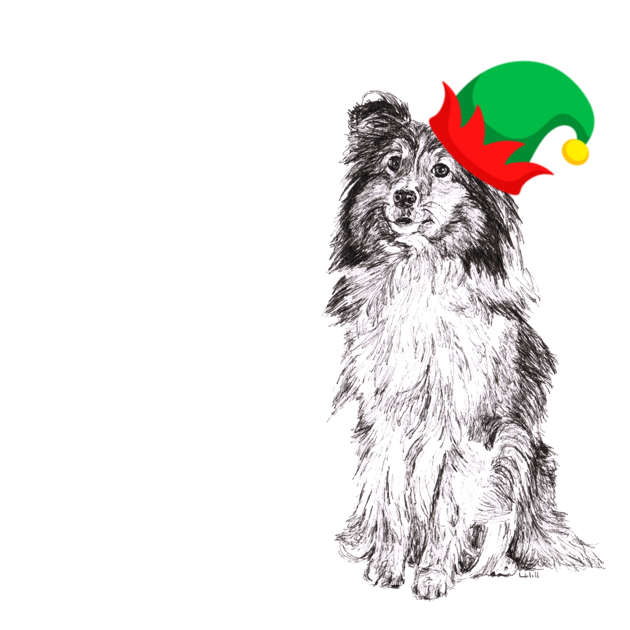 Shetland Sheepdog with Santa hat Christmas card by Louisa Hill