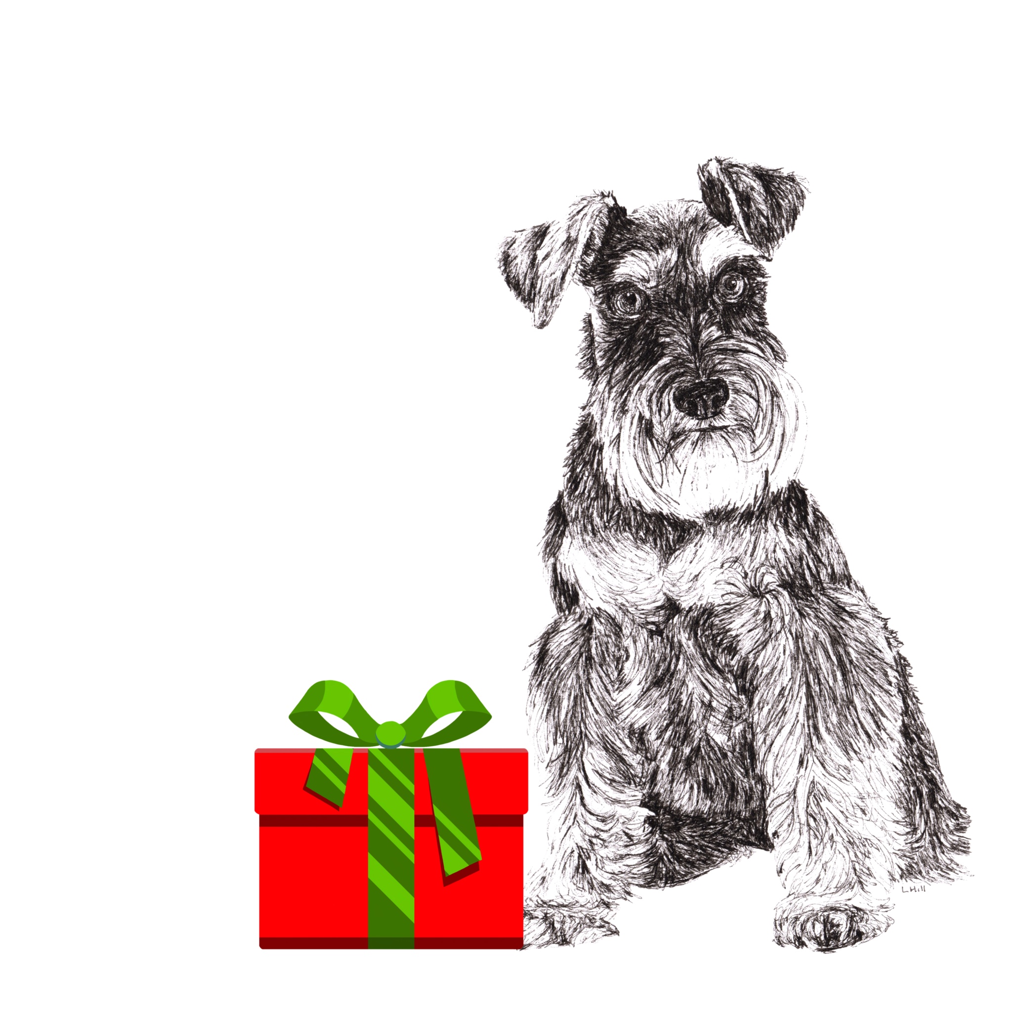 Schnauzer with Santa hat Christmas card by Louisa Hill