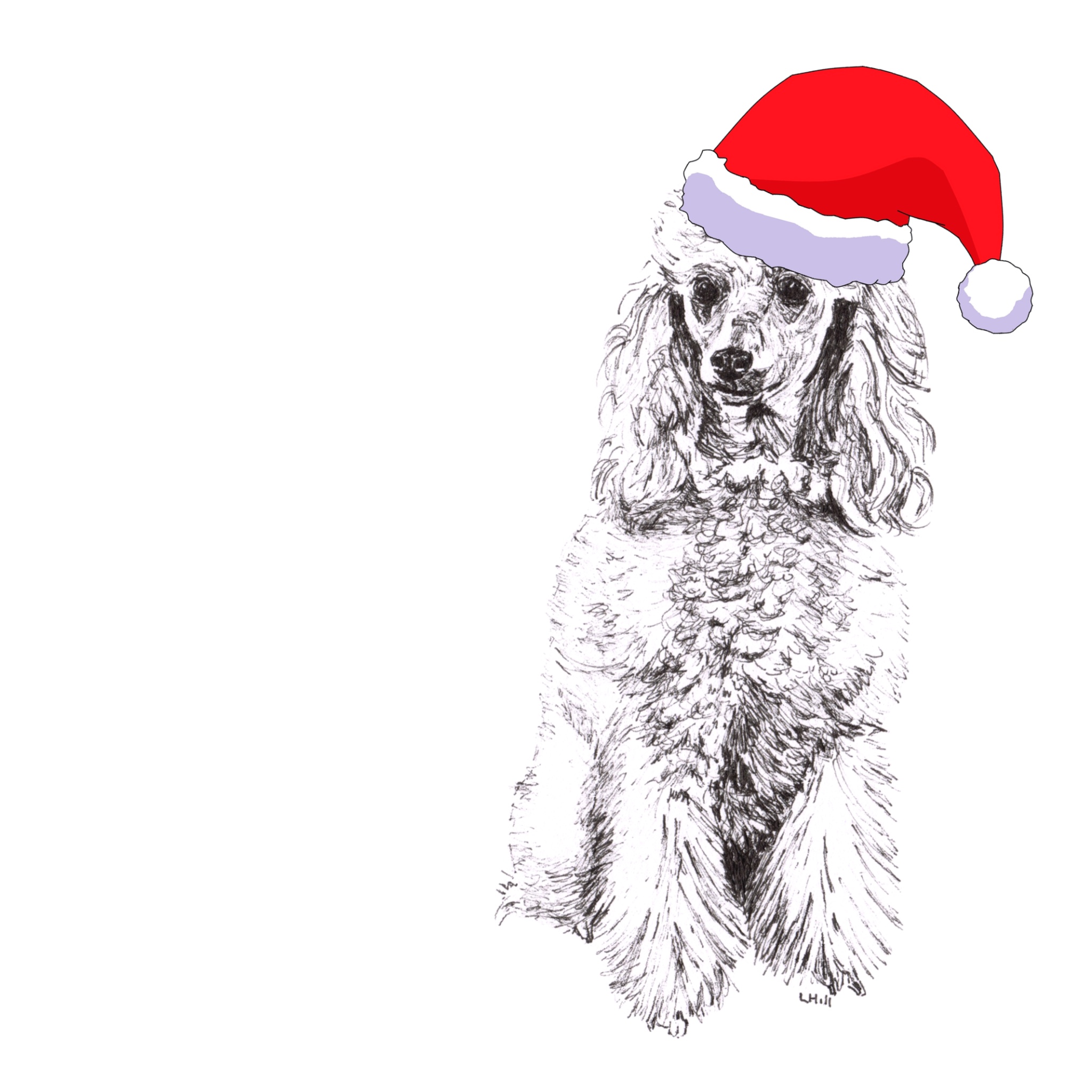 Poodle with Santa hat Christmas cards by Louisa Hill