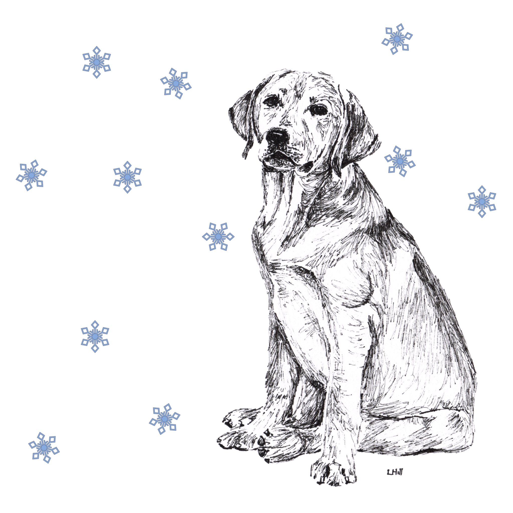 Labrador with reindeer antlers and red nose Christmas card by Louisa Hill