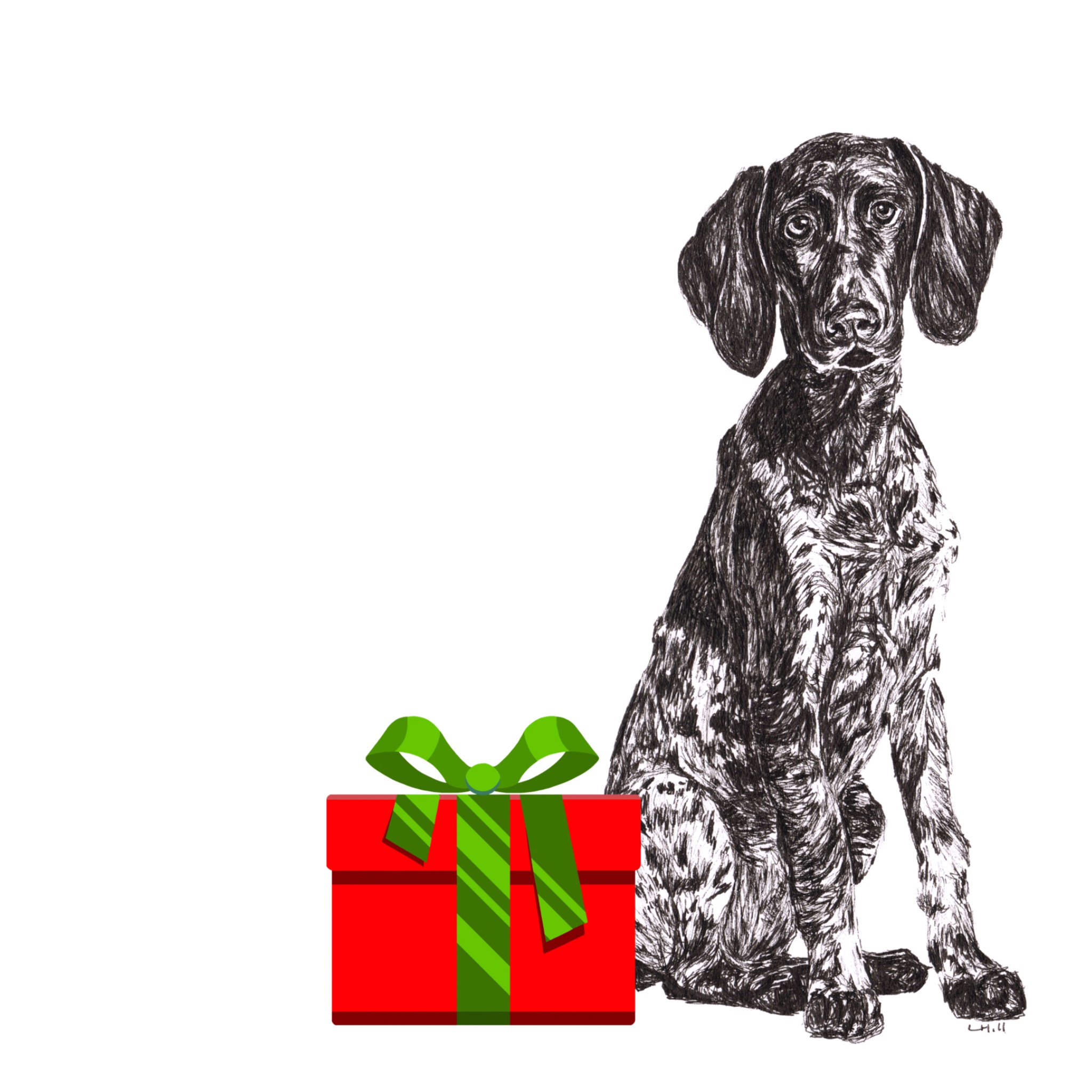 German Short Haired Pointer with reindeer antlers and red nose Christmas card by Louisa Hill