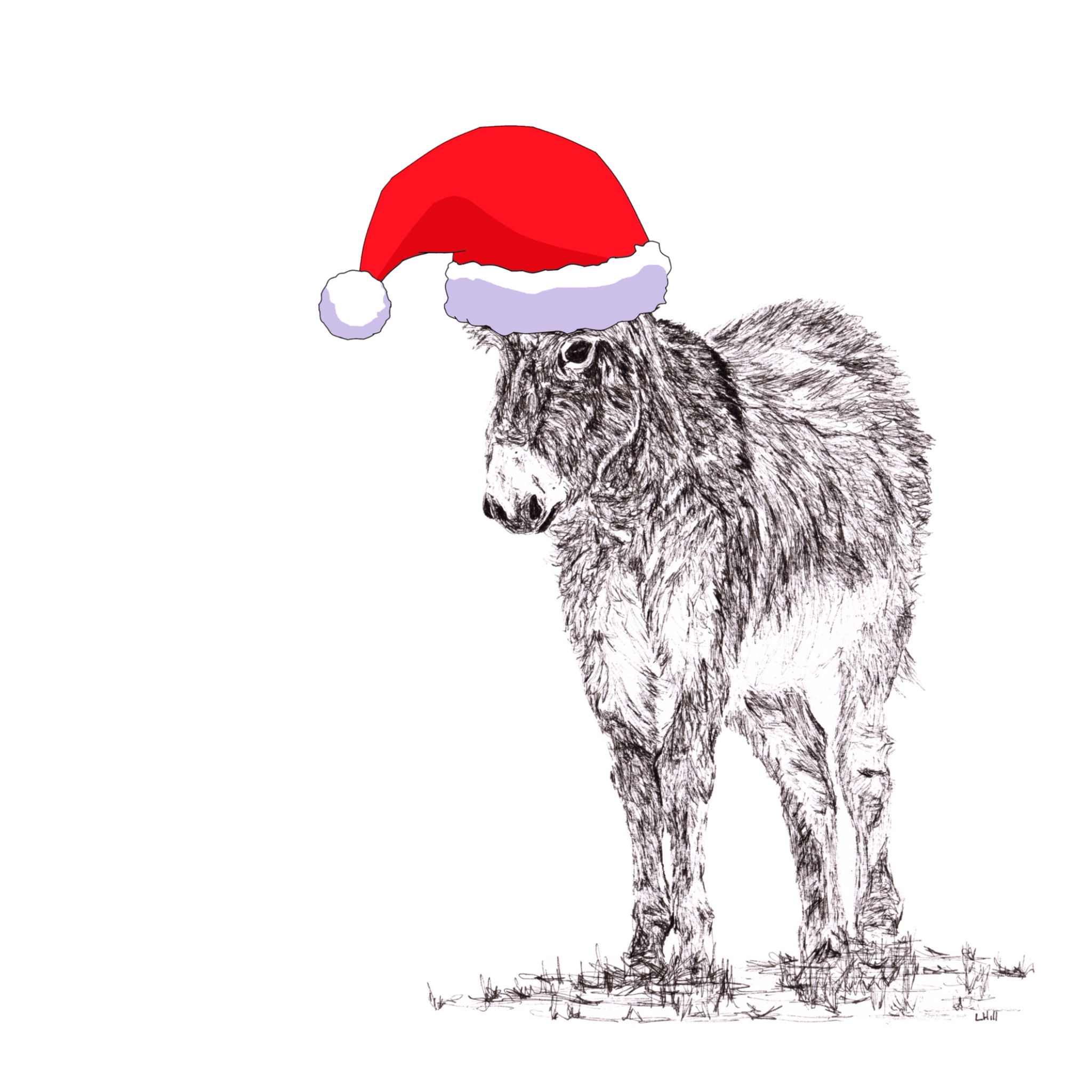 Donkey with santa hat Christmas card by Louisa Hill