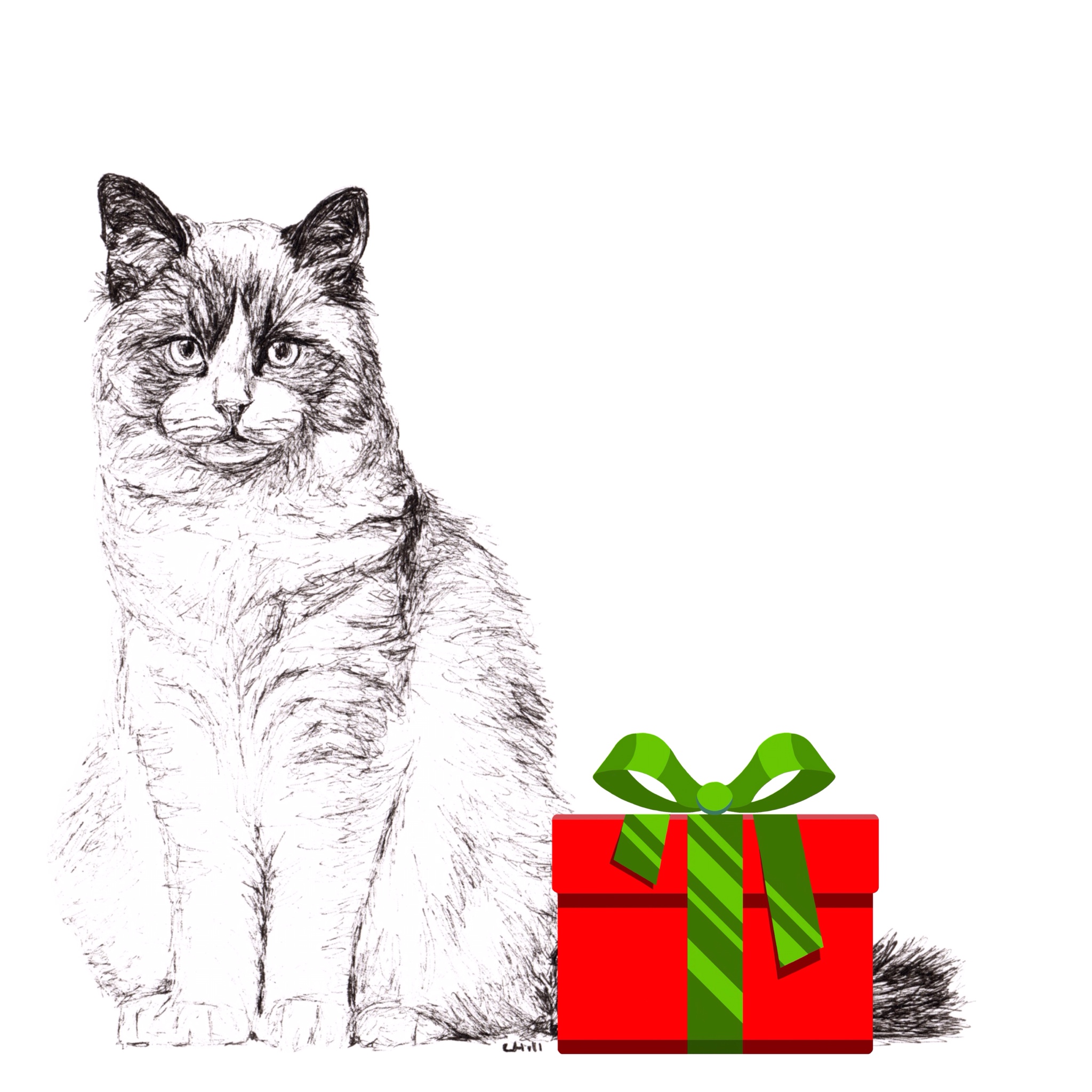 Ragdoll with santa hat Christmas card by Louisa Hill