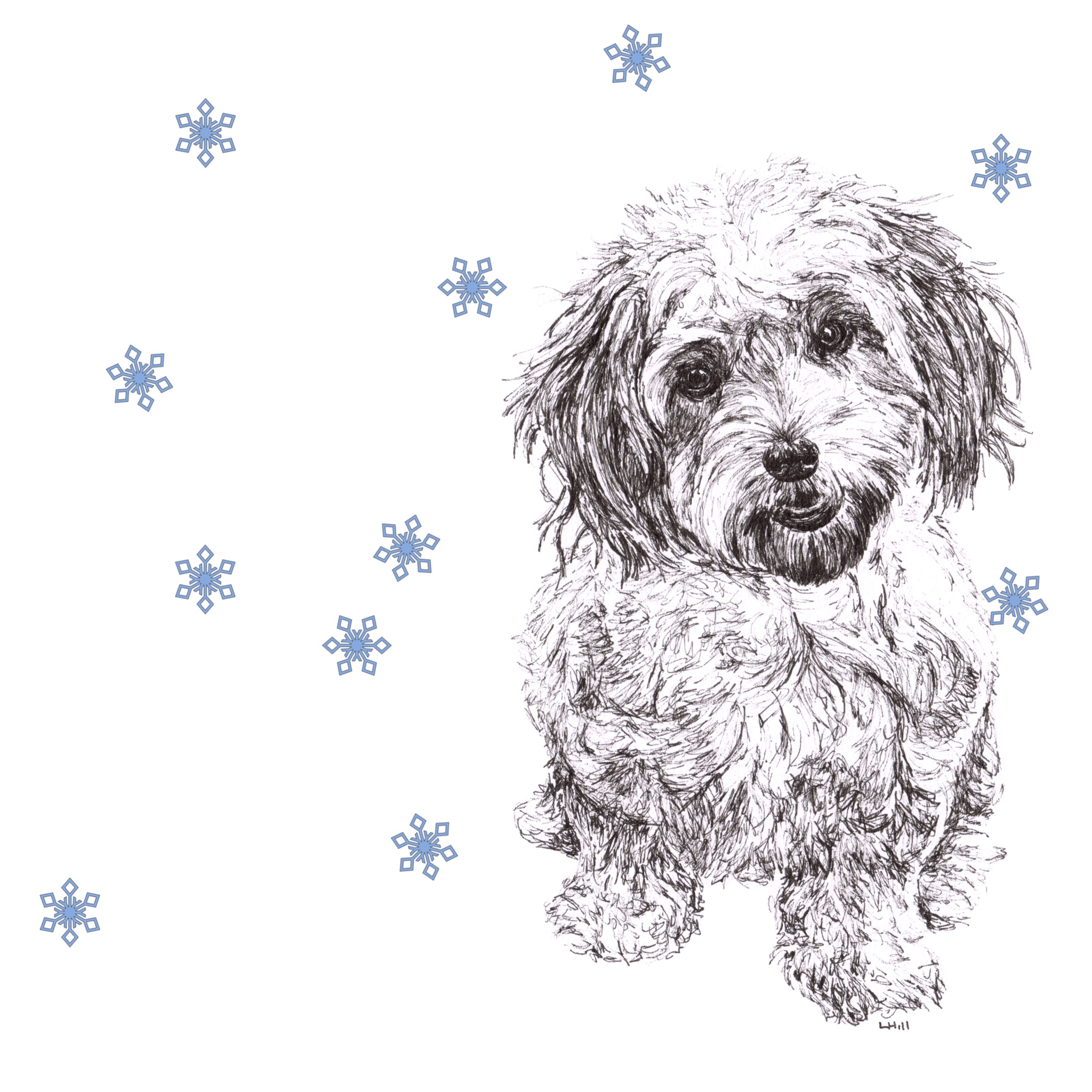 Cavachon with Santa hat Christmas card by Louisa Hill