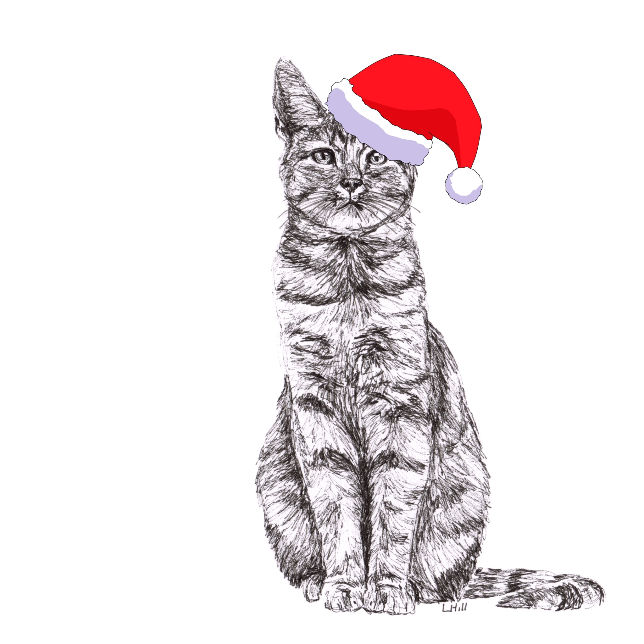 Tabby with Santa hat Christmas card by Louisa Hill