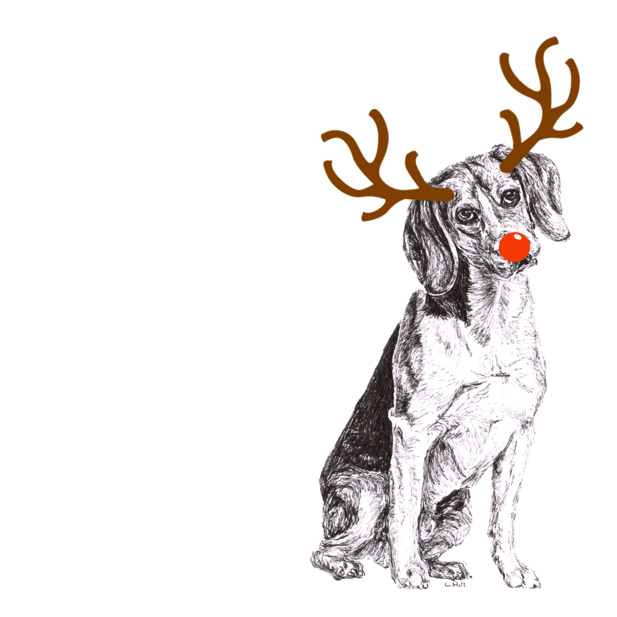 Beagle with reindeer antlers and red nose Christmas card by Louisa Hill