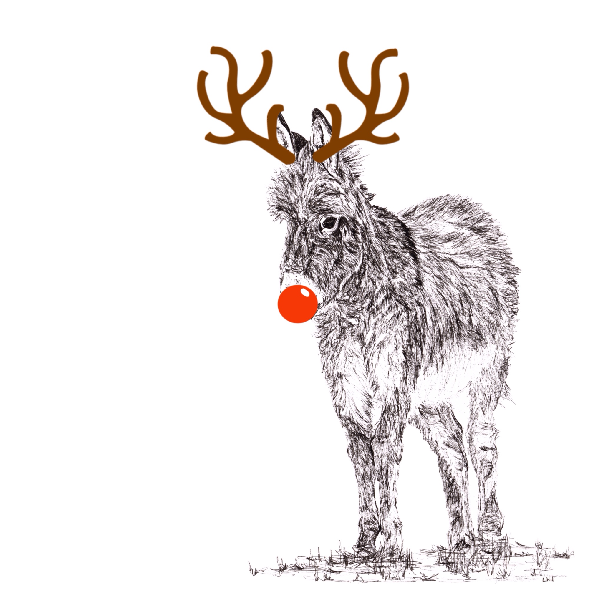 Donkey with reindeer antlers and red nose Christmas card by Louisa Hill