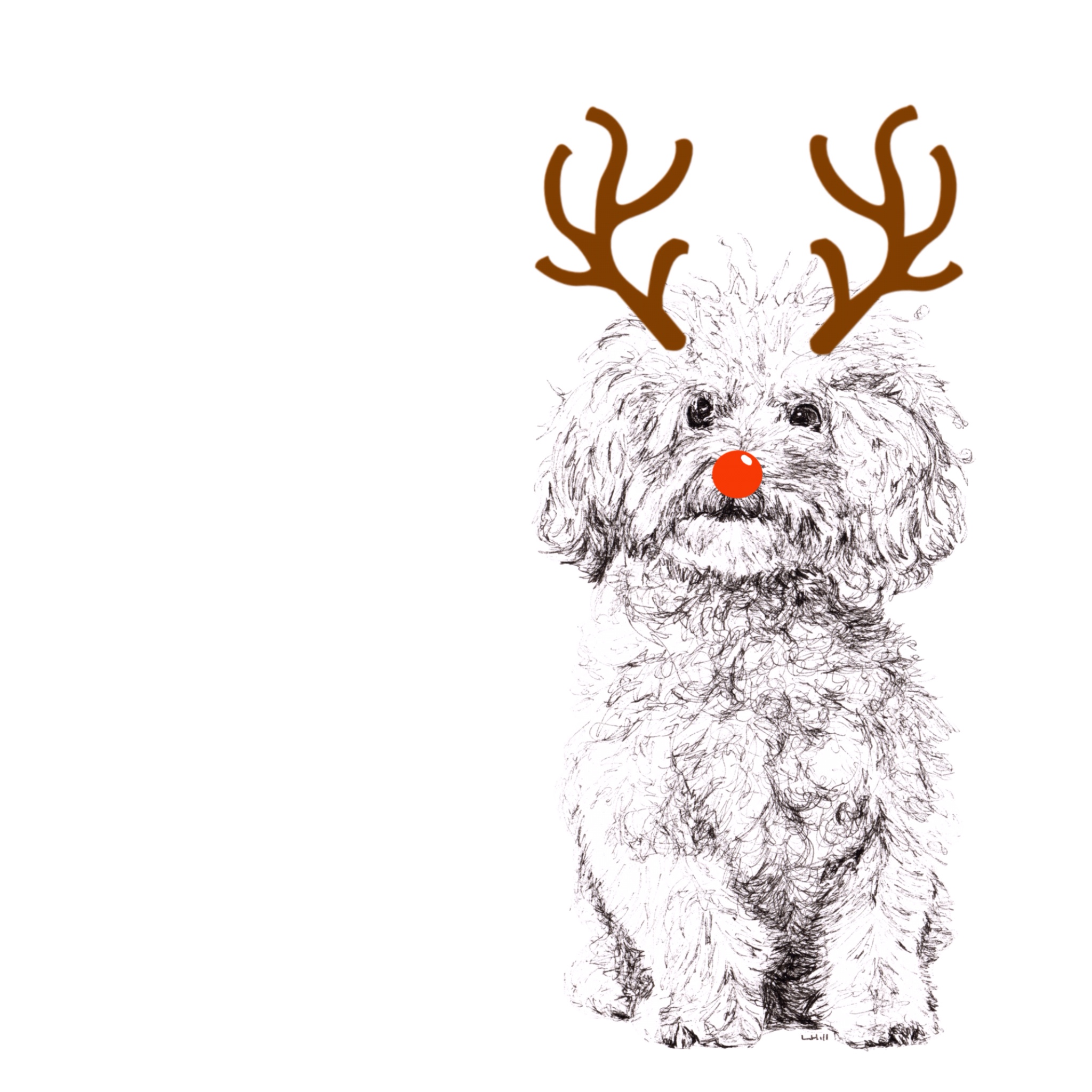 Bichon Frise with reindeer antlers and red nose Christmas card by Louisa Hill