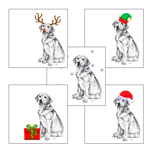 Labrador with reindeer antlers and red nose Christmas card by Louisa Hill