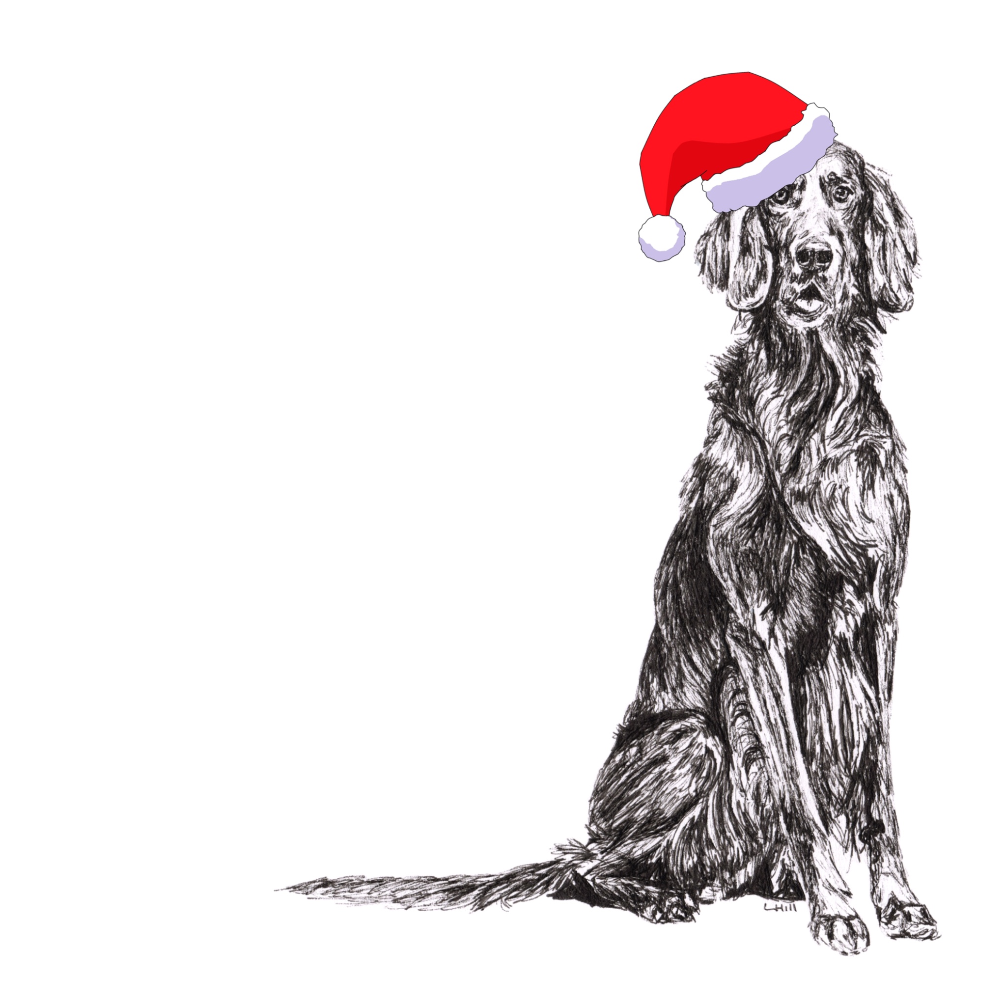 English Setter with reindeer antlers and red nose Christmas card by Louisa Hill