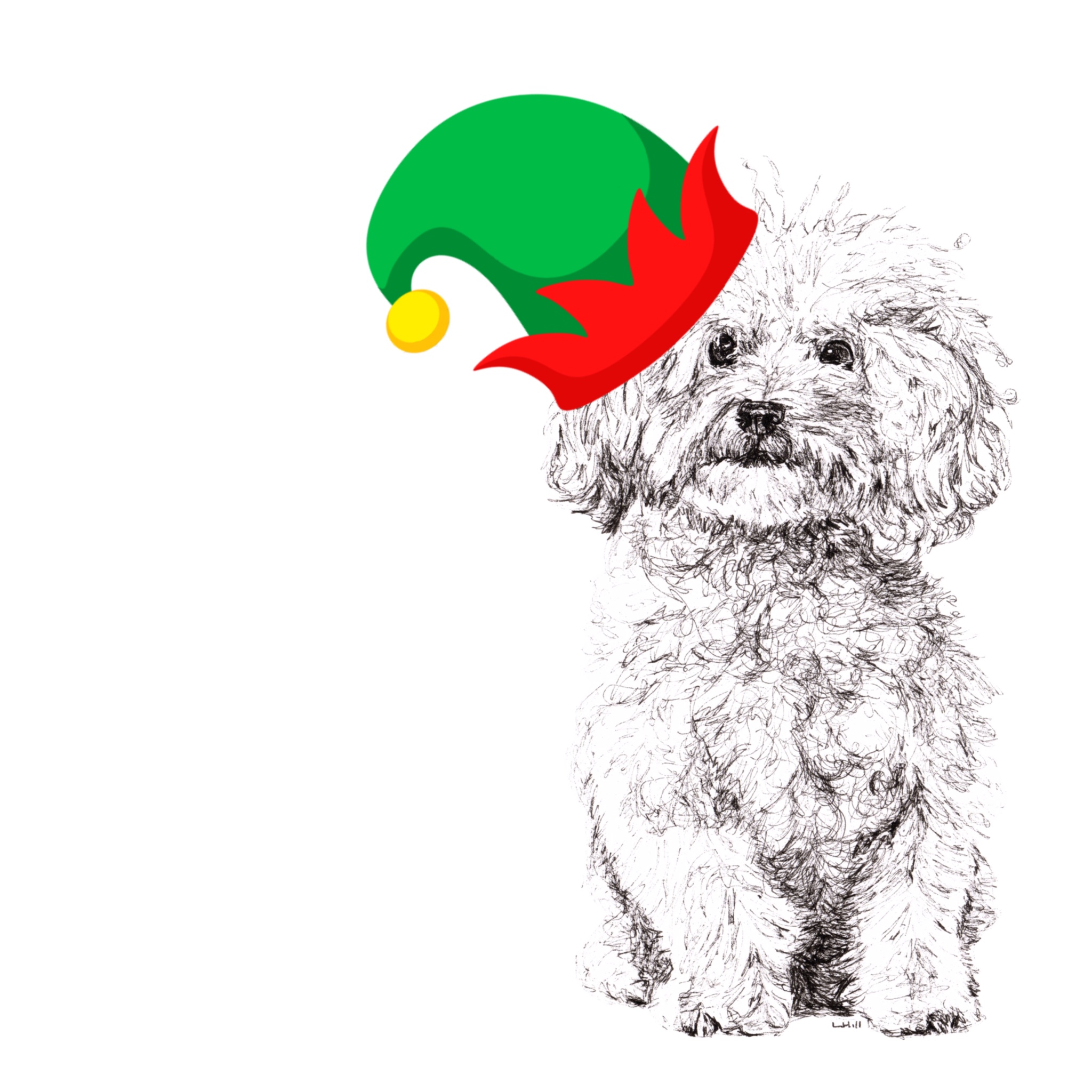 Bichon Frise with Santa hat Christmas card by Louisa Hill