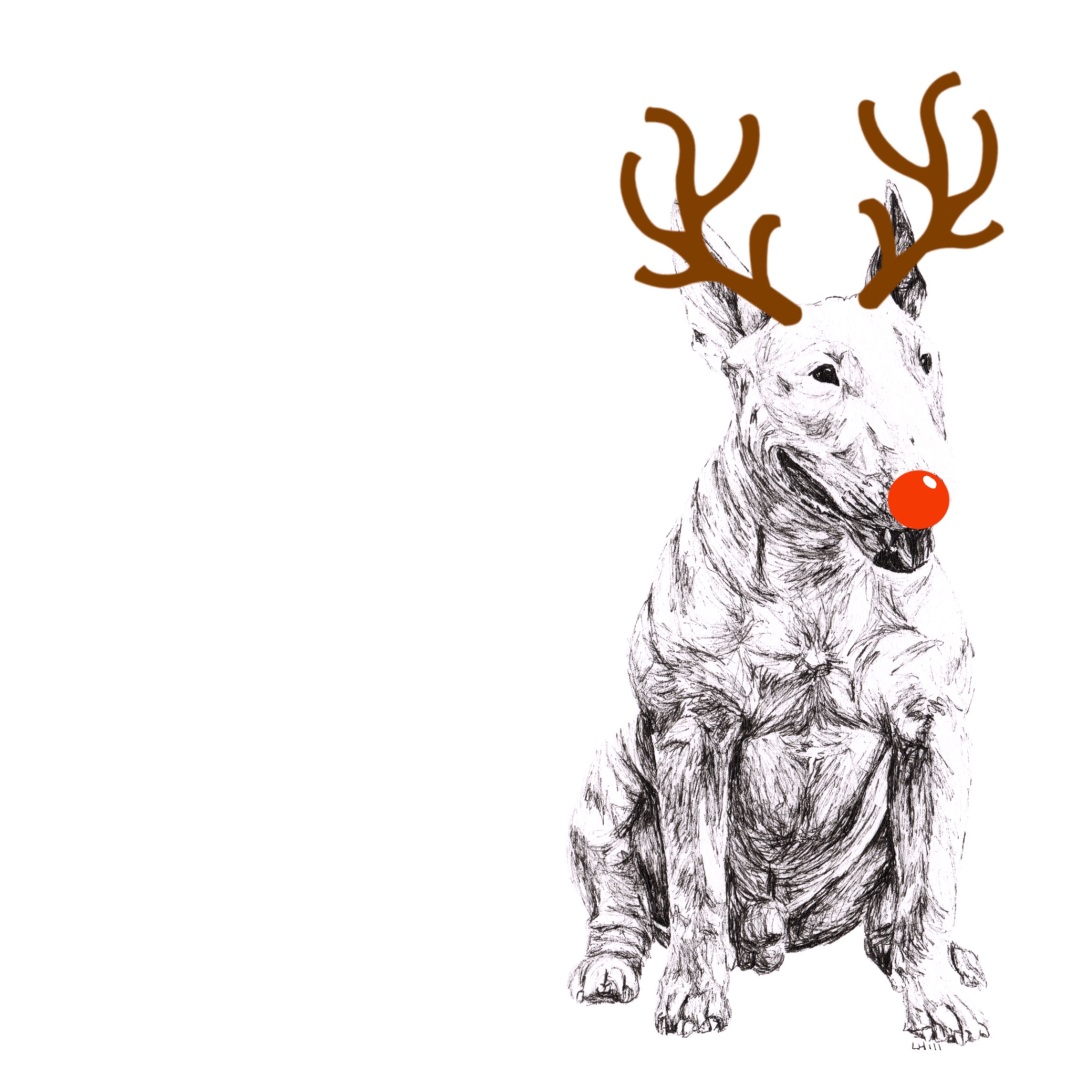 English Bull Terrier with reindeer antlers and red nose Christmas card by Louisa Hill