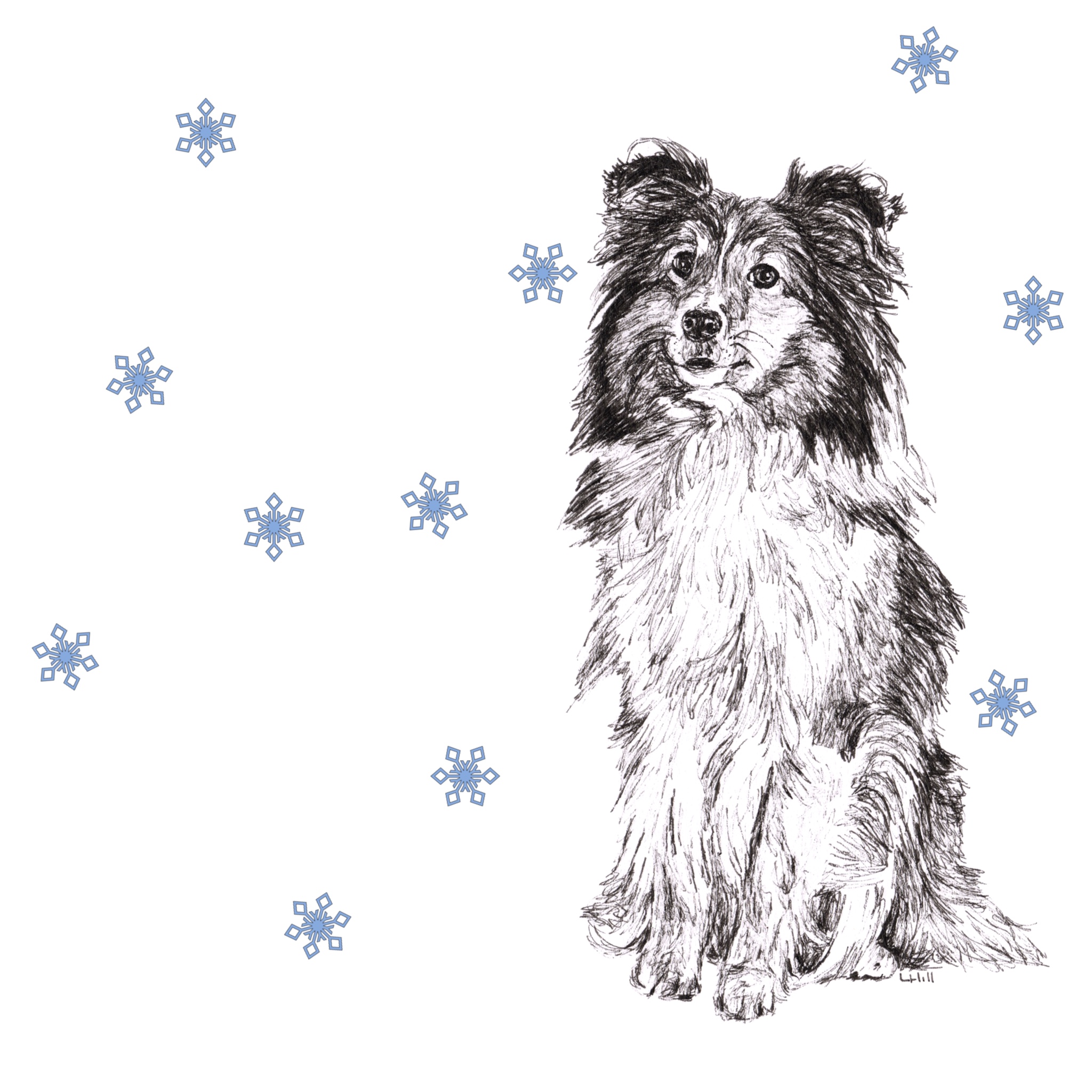 Shetland Sheepdog with reindeer antlers and red nose Christmas card by Louisa Hill