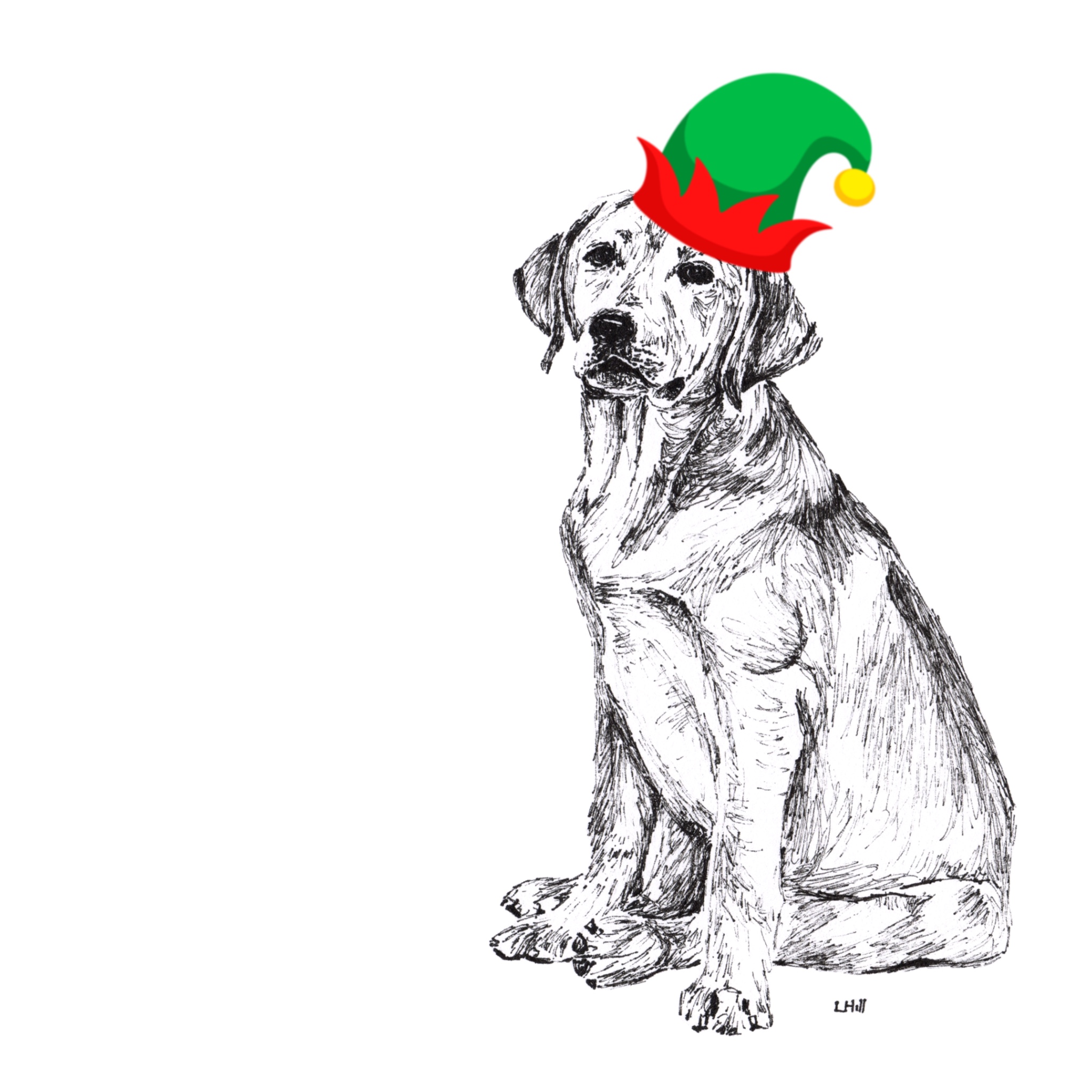 Labrador with reindeer antlers and red nose Christmas card by Louisa Hill