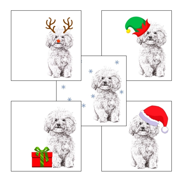 Bichon Frise with Santa hat Christmas card by Louisa Hill