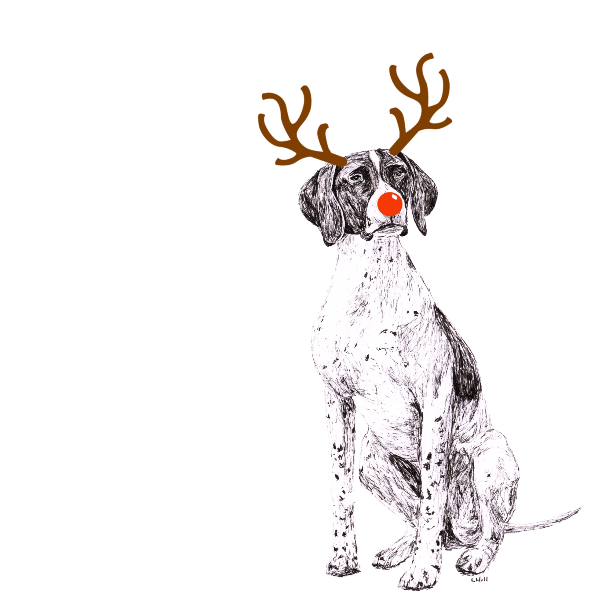 English Pointer with reindeer antlers and red nose Christmas card by Louisa Hill