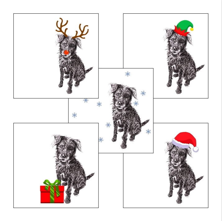 Patterdale Terrier with Santa hat Christmas card by Louisa Hill