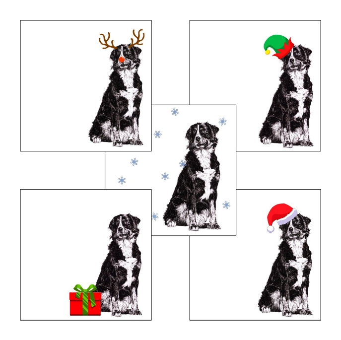 Young Bernese Mountain with reindeer antlers and red nose Christmas card by Louisa Hill