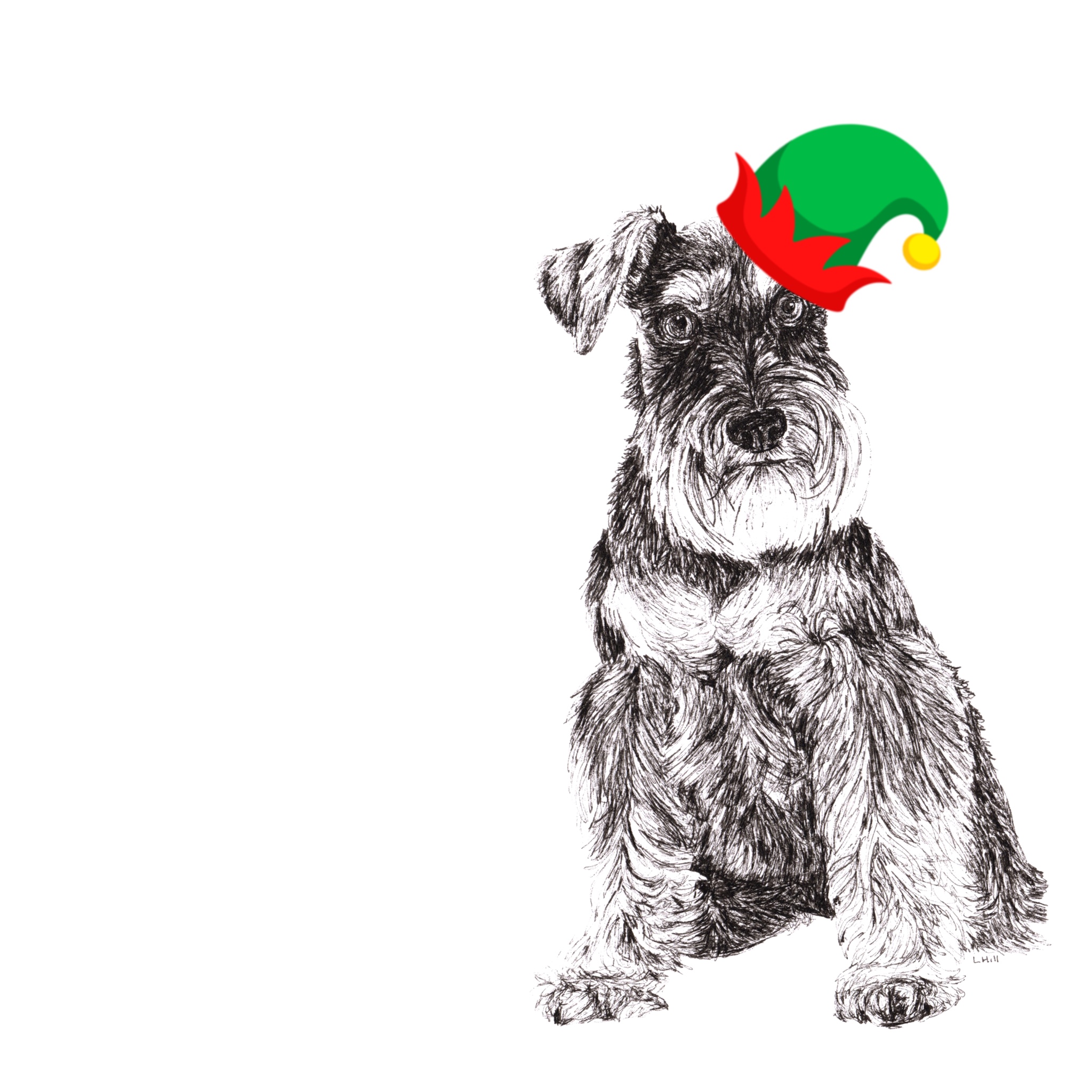 Schnauzer with Santa hat Christmas card by Louisa Hill