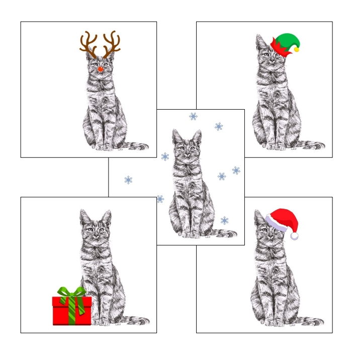 Tabby with Santa hat Christmas card by Louisa Hill