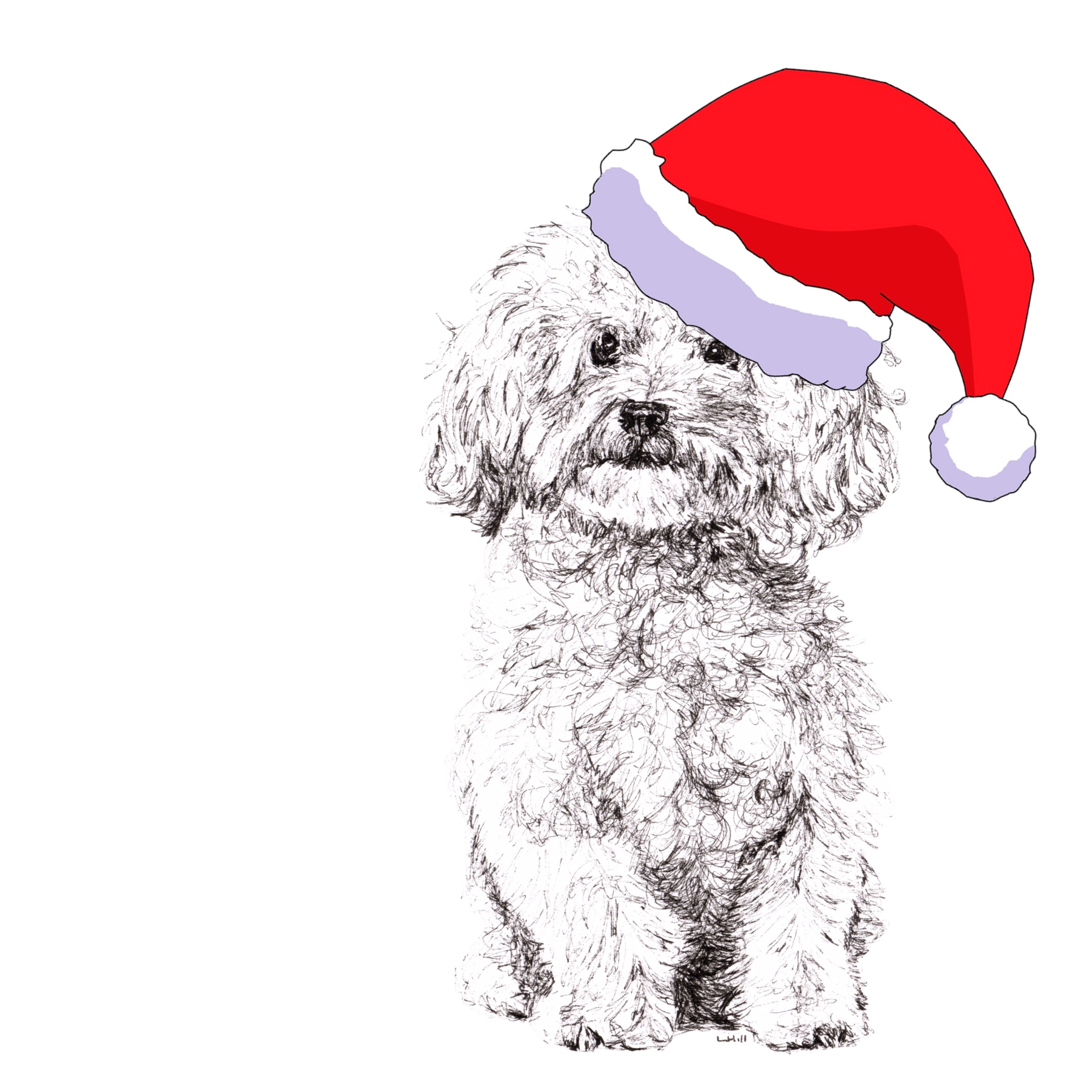 Bichon Frise with Santa hat Christmas card by Louisa Hill